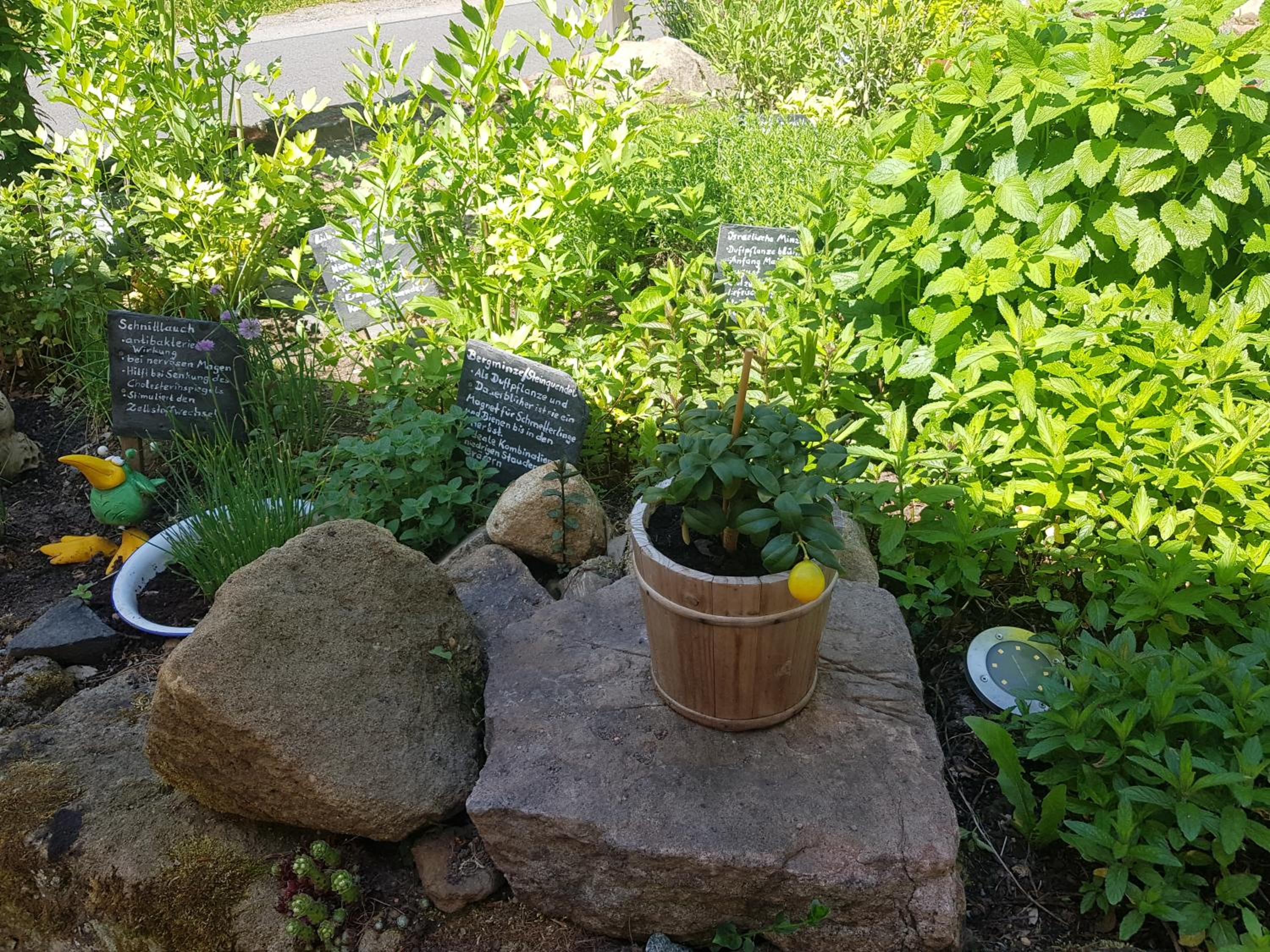 Photo 11