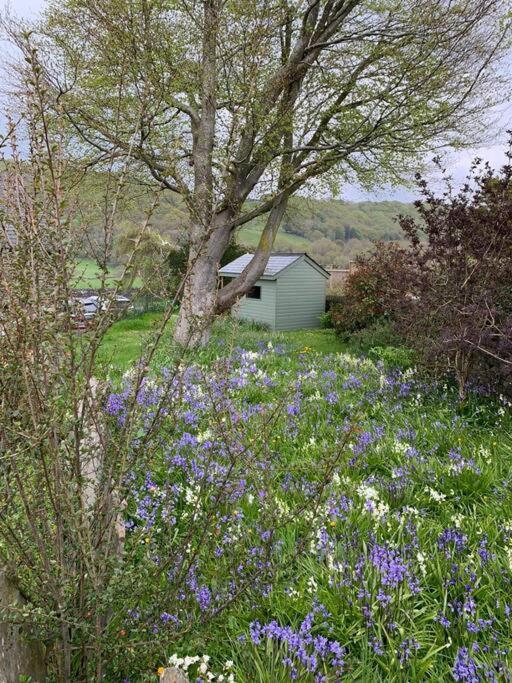 The Drumlins Cottage