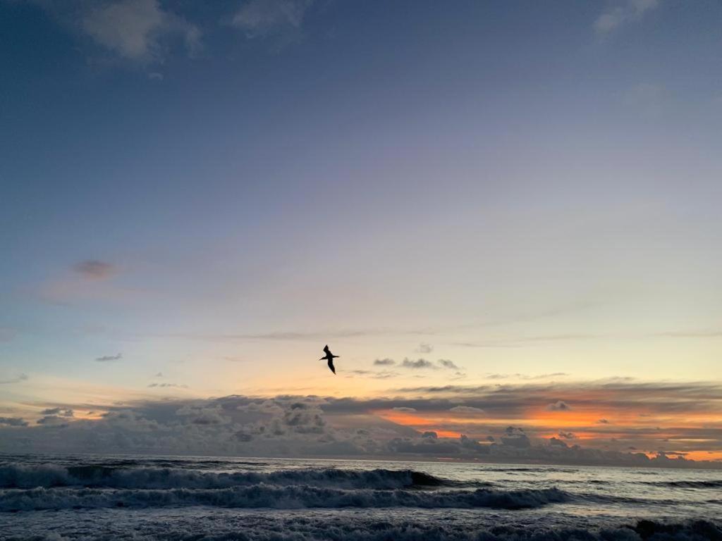 Playa Hermosa, Mistico, Surf, Bike, Hike, 4 Hab, Lagos, Familia