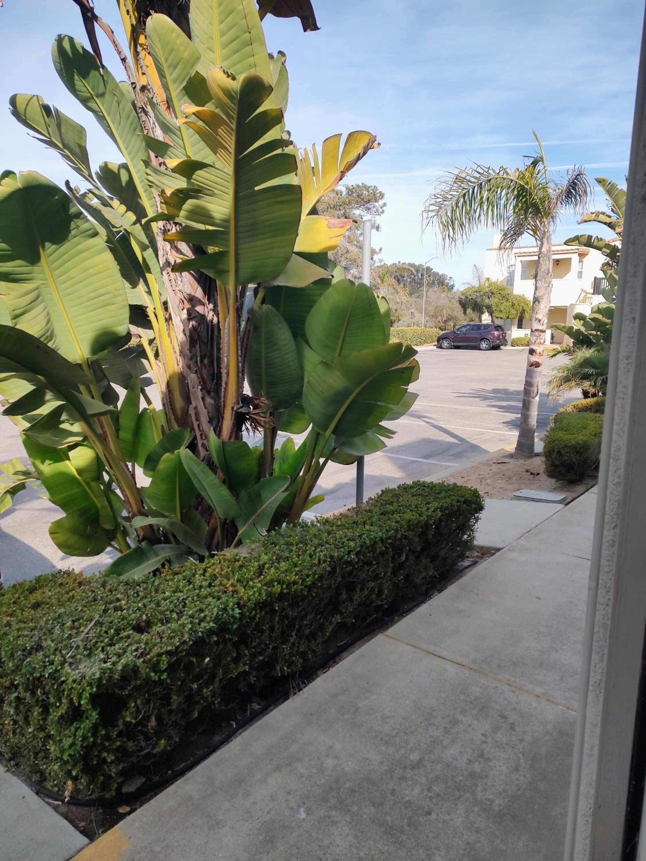 Pacific Plaza Resort