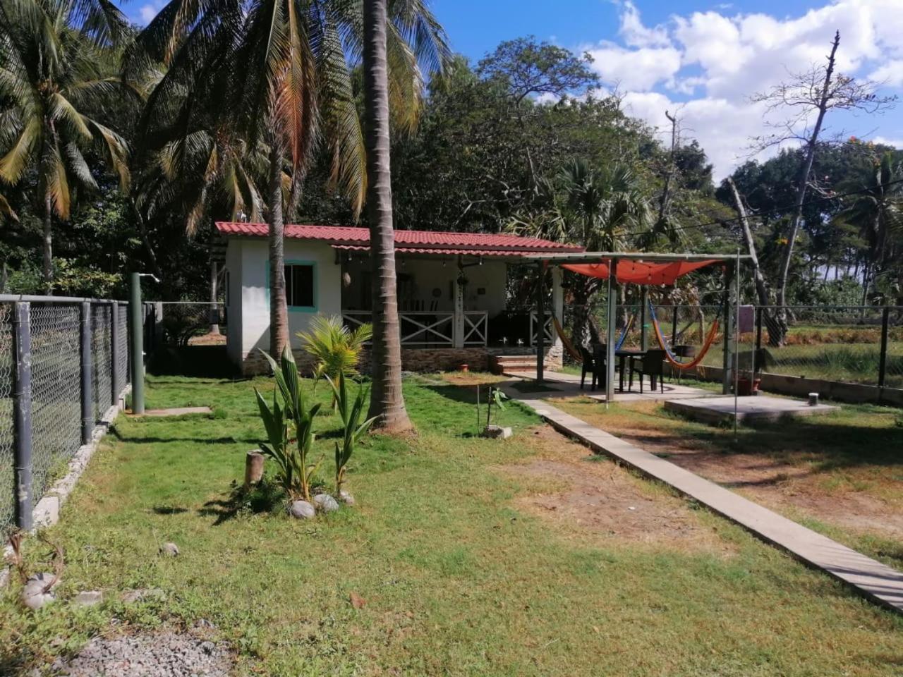 Photo 11