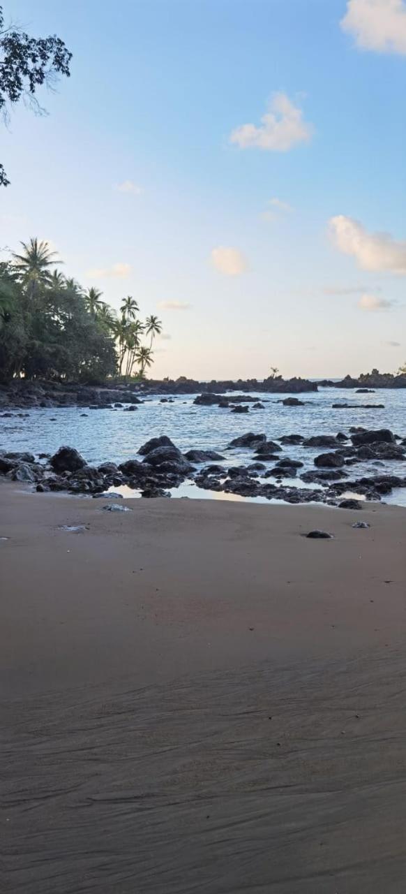 Cabinas Corcovado Green Parrot, Los Planes Drake