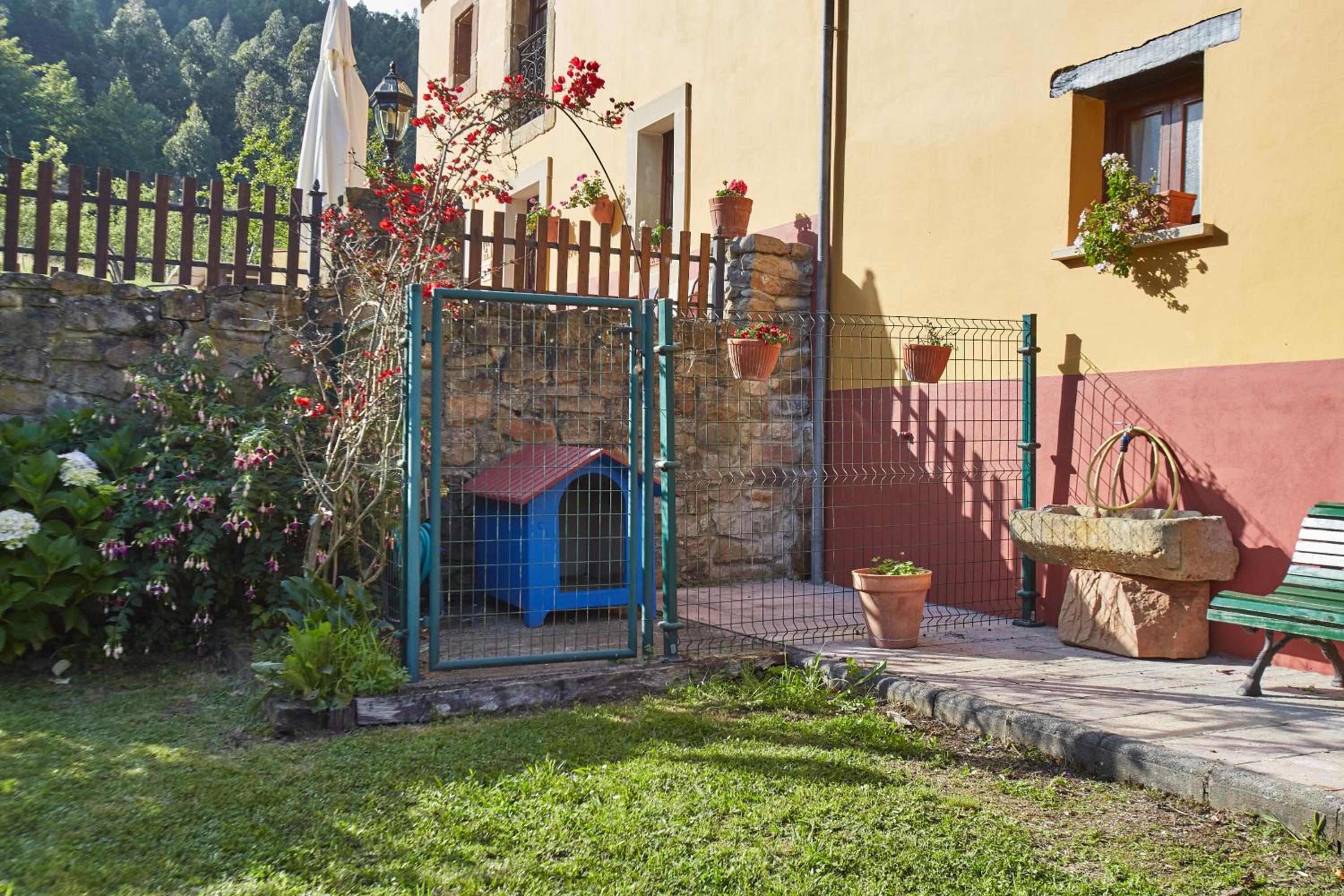 Photo 22