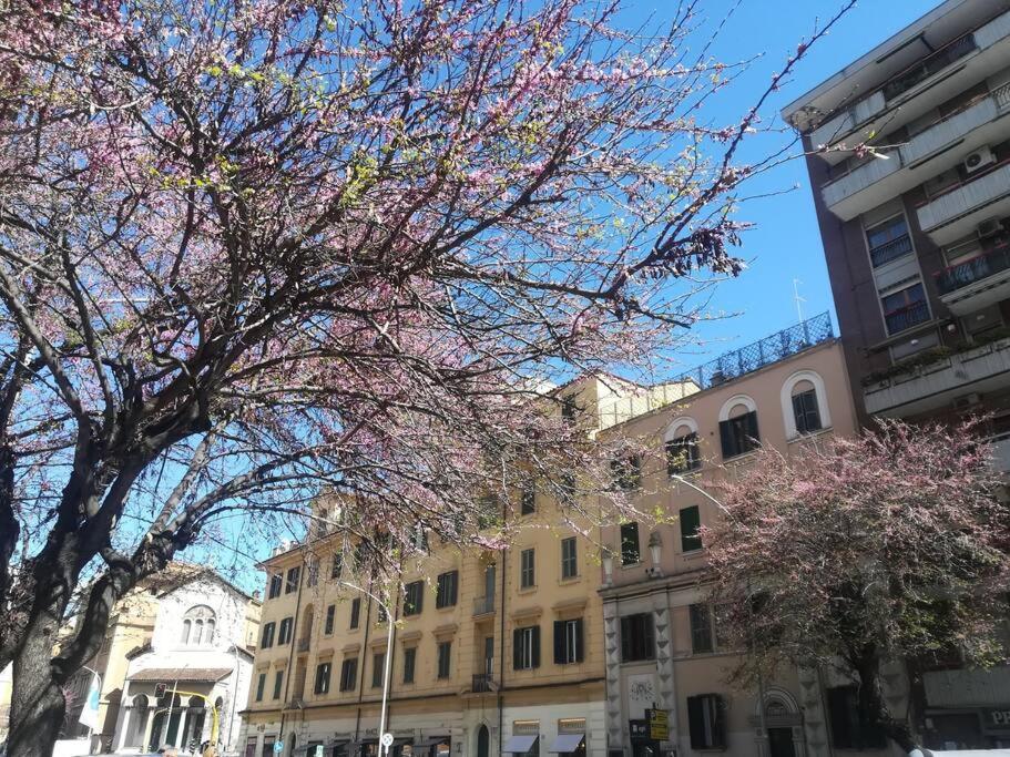 Aura Home Grazioso Appartamento a Pochi Passi dalla Metro A e C