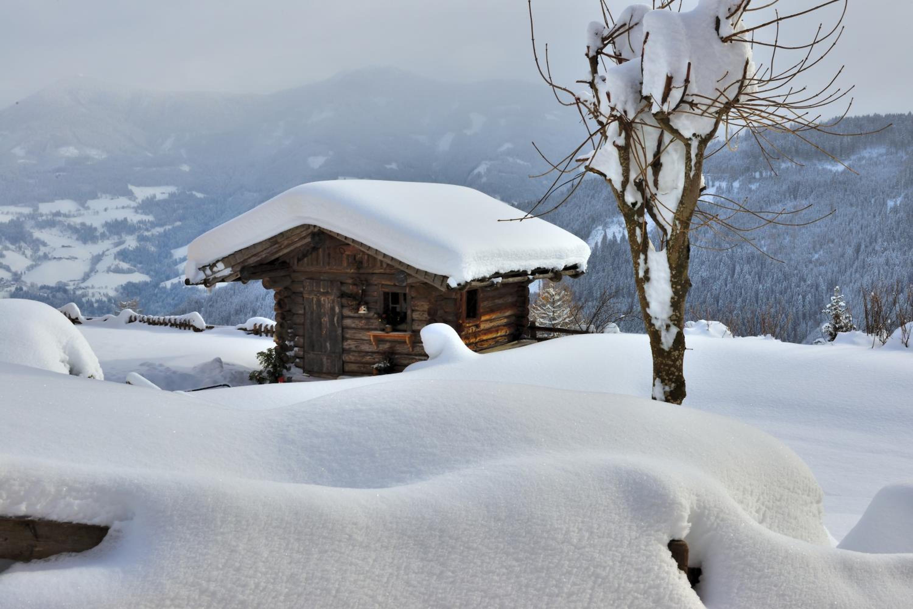 Bio Alpenhof Rostatt
