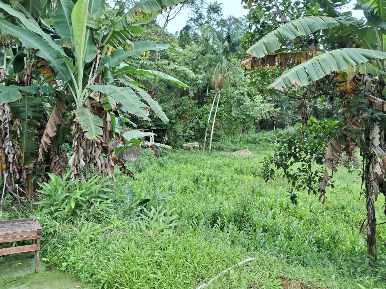 Pousada Sítio Santa Rita