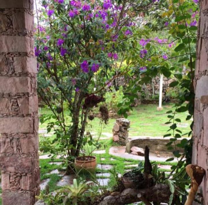 Casa de Bere