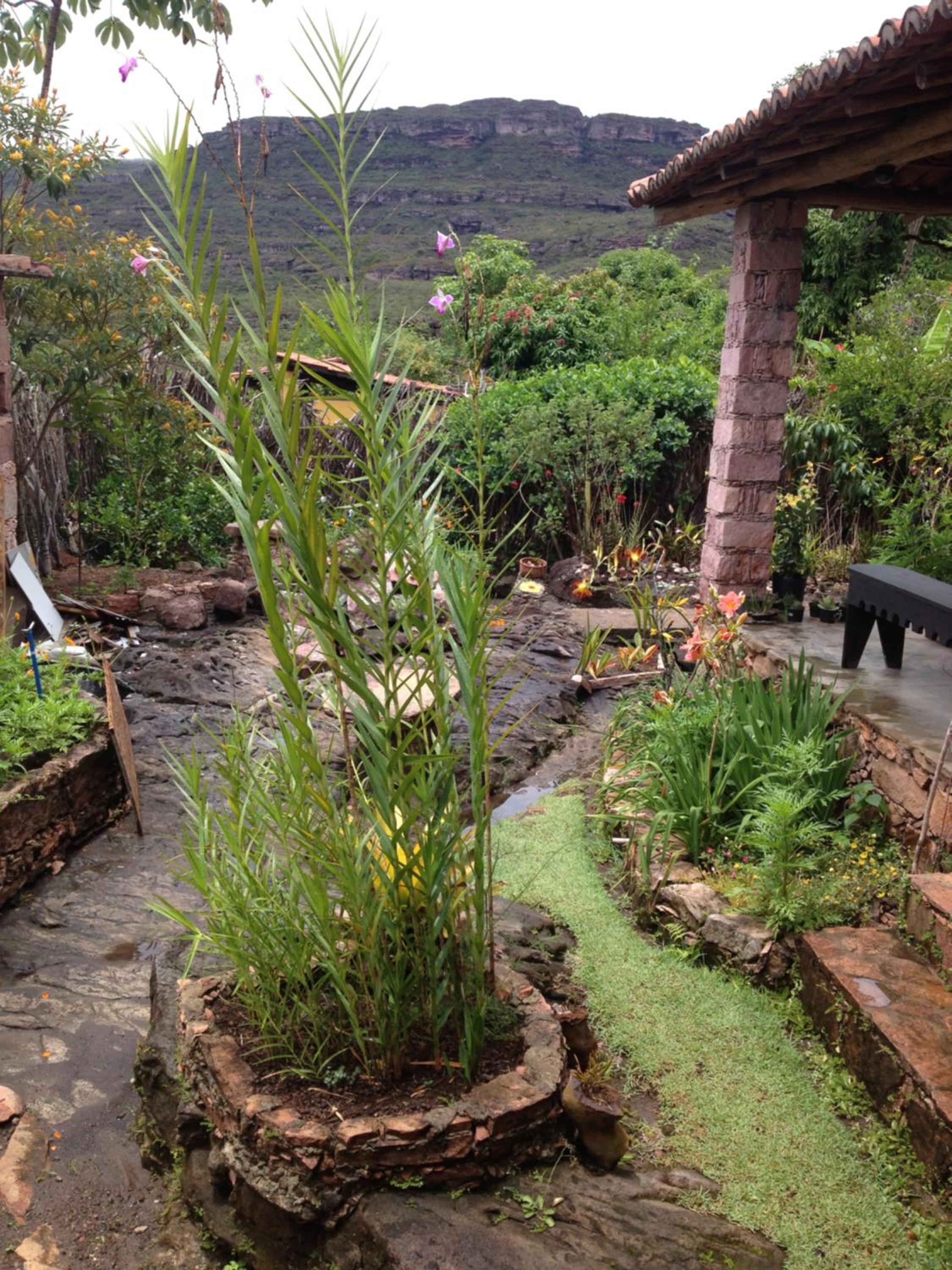 Casa de Bere