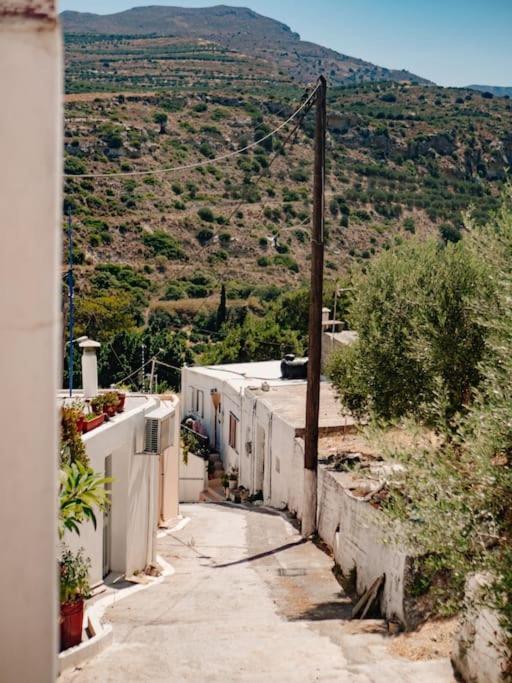 Spacious house directly on the olive grove view 2