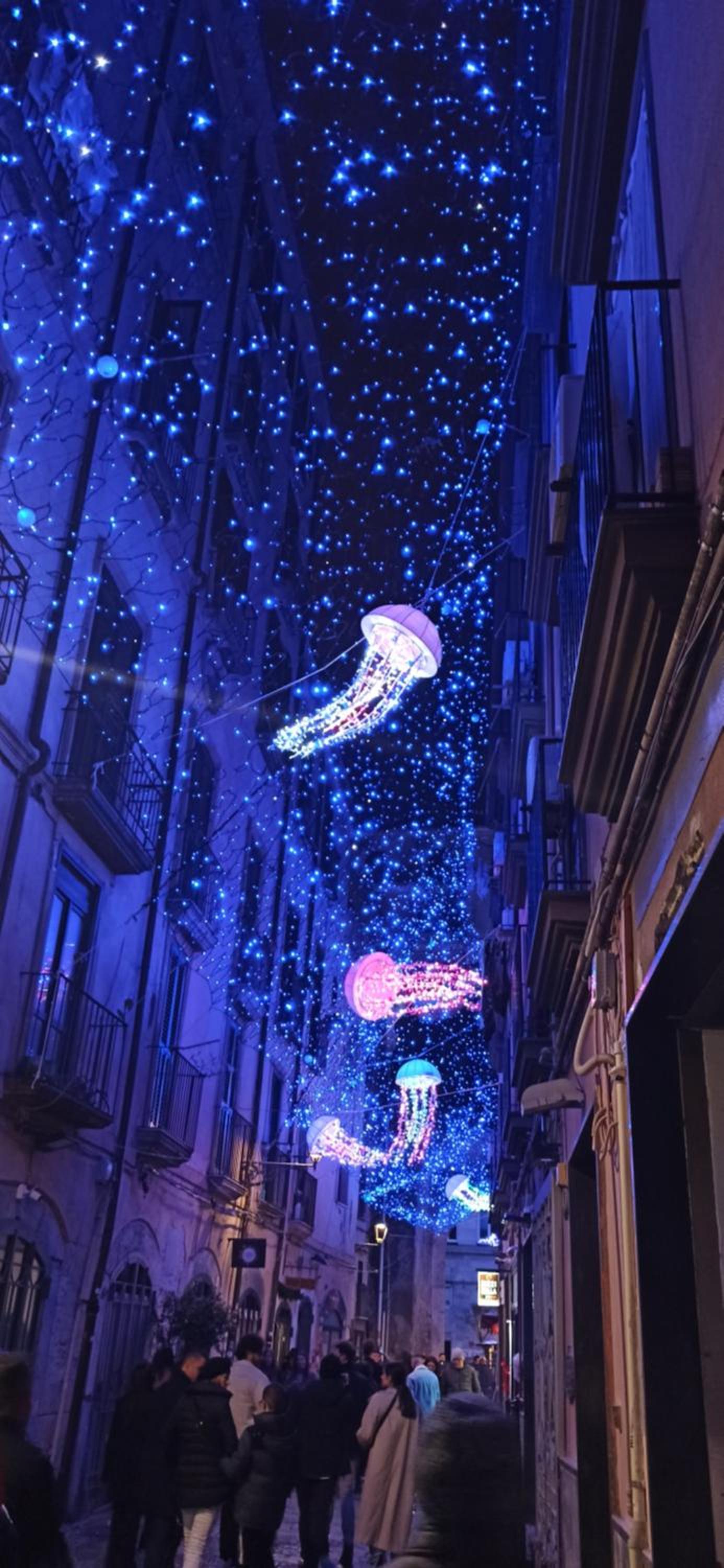 Photo 72