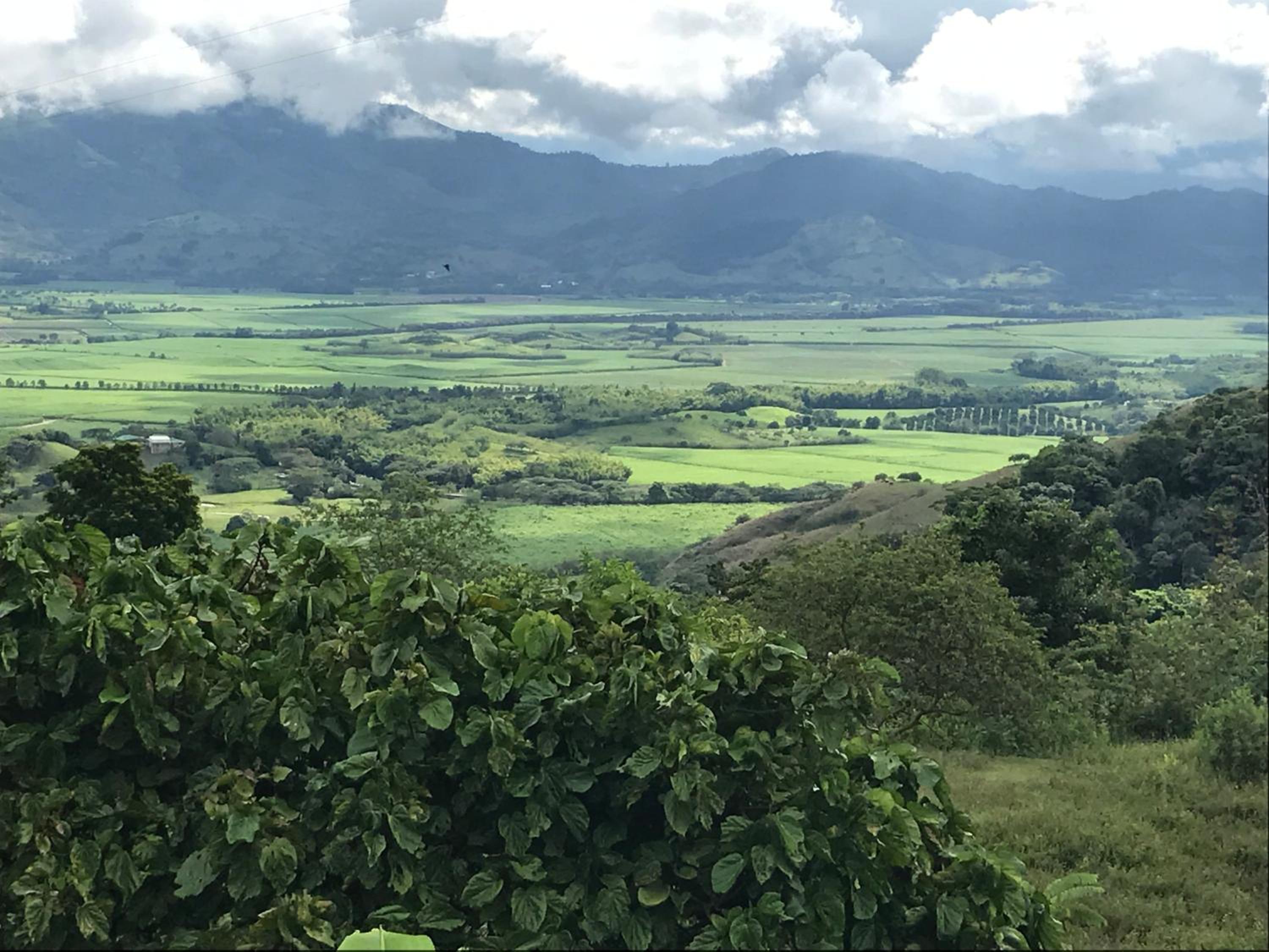Finca la pastora balboa