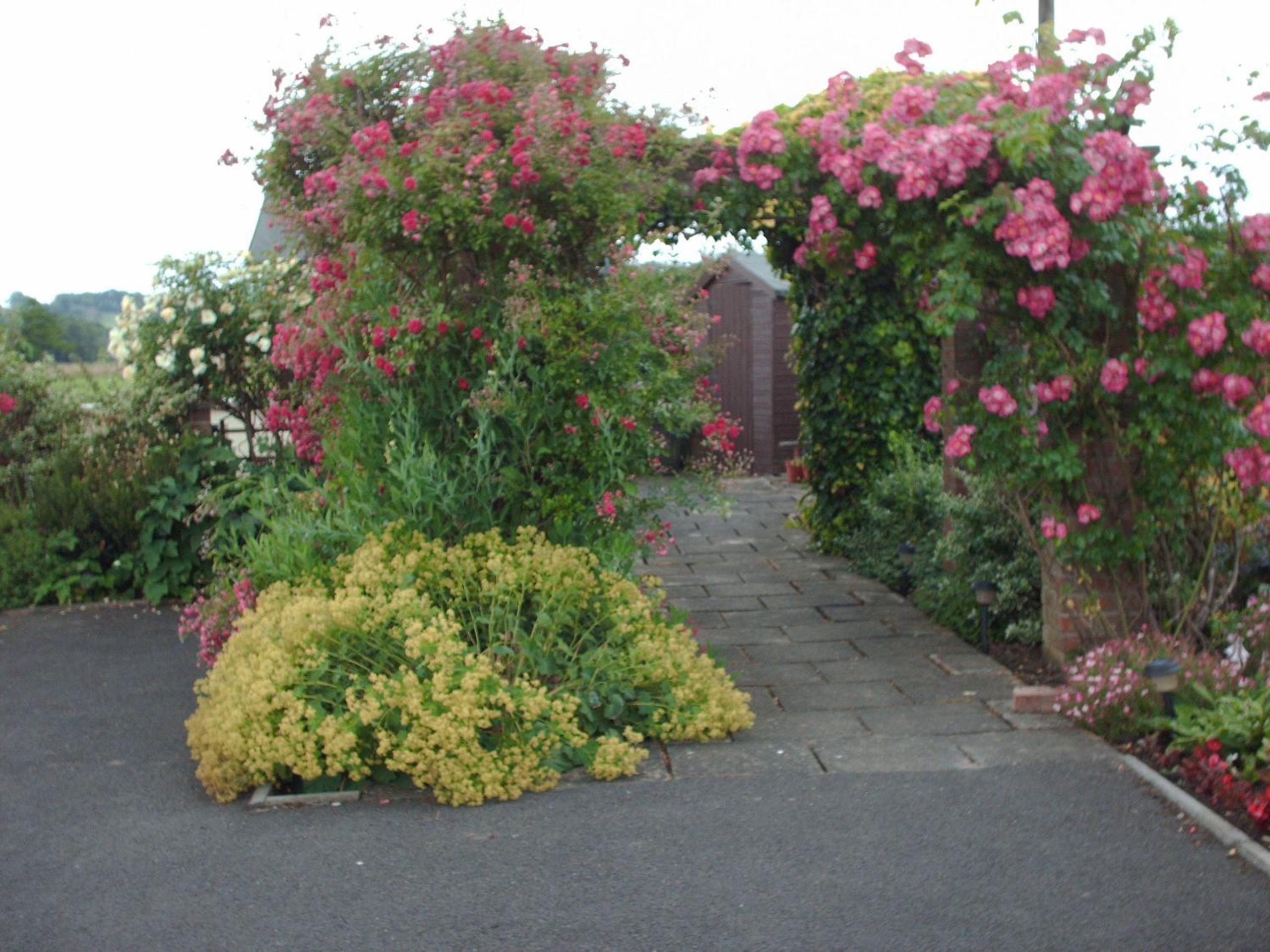 Photo 7