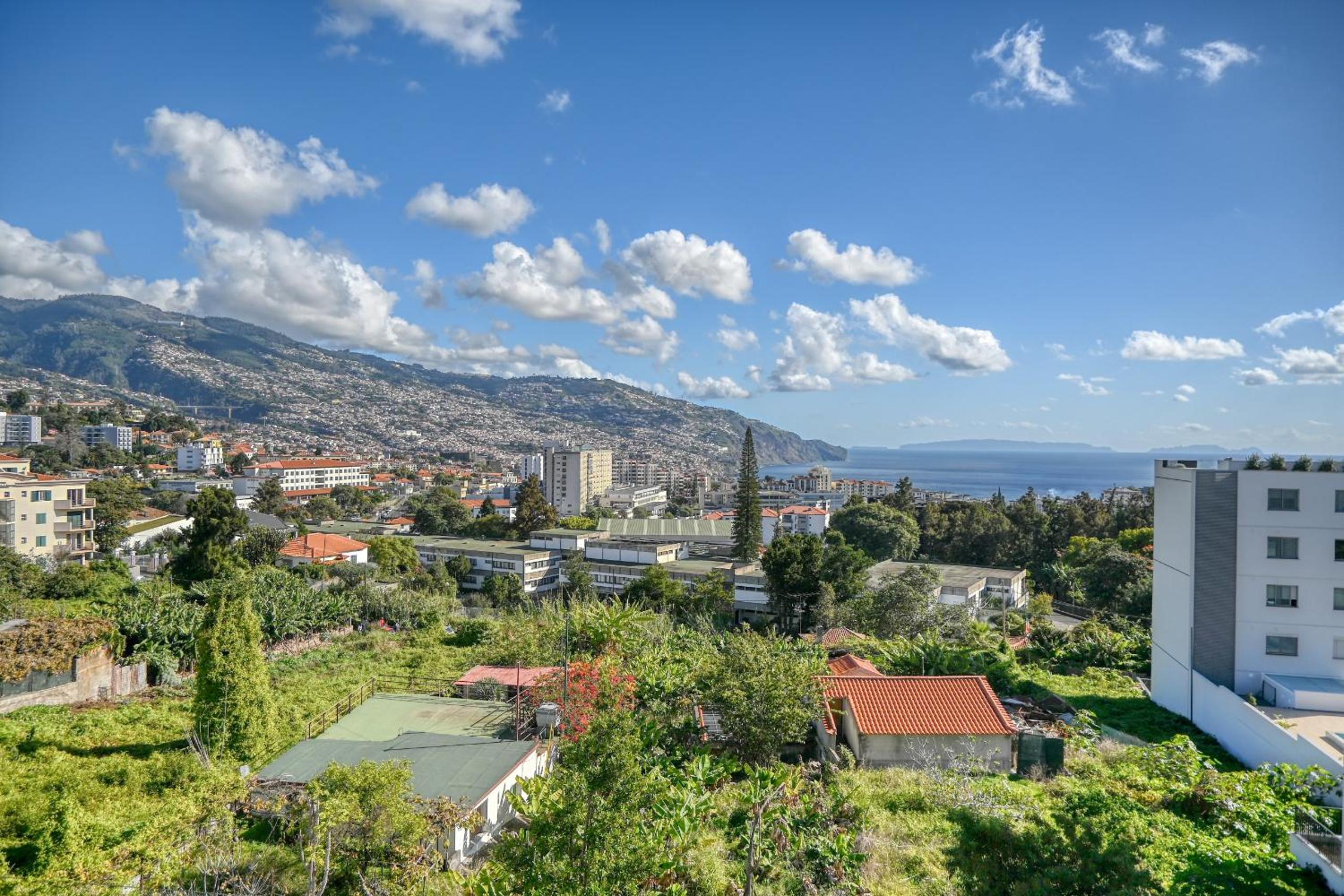 Funchal Atrium, a Home in Madeira view 2