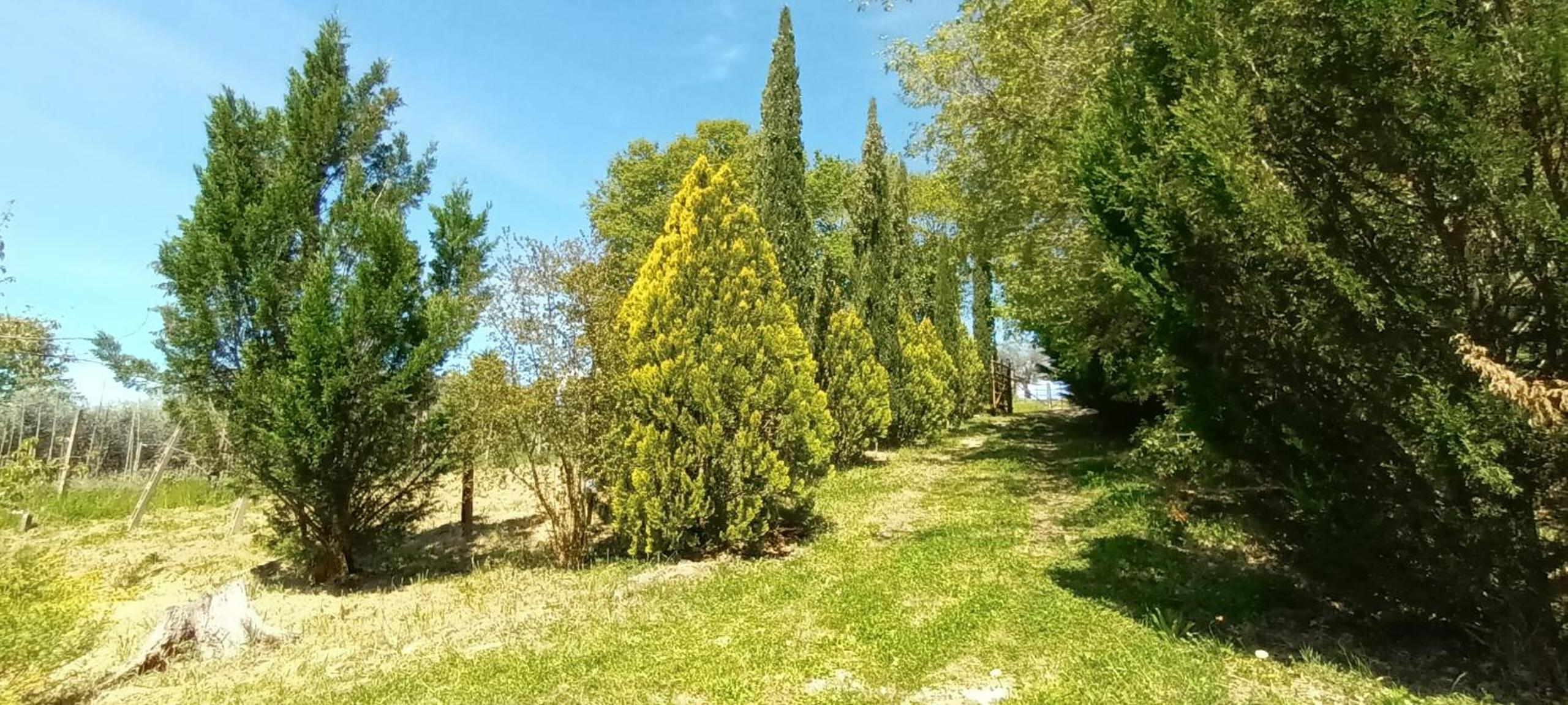 Casa in Maremma view 3
