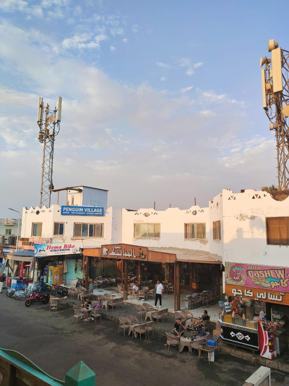 Dahab house octopus