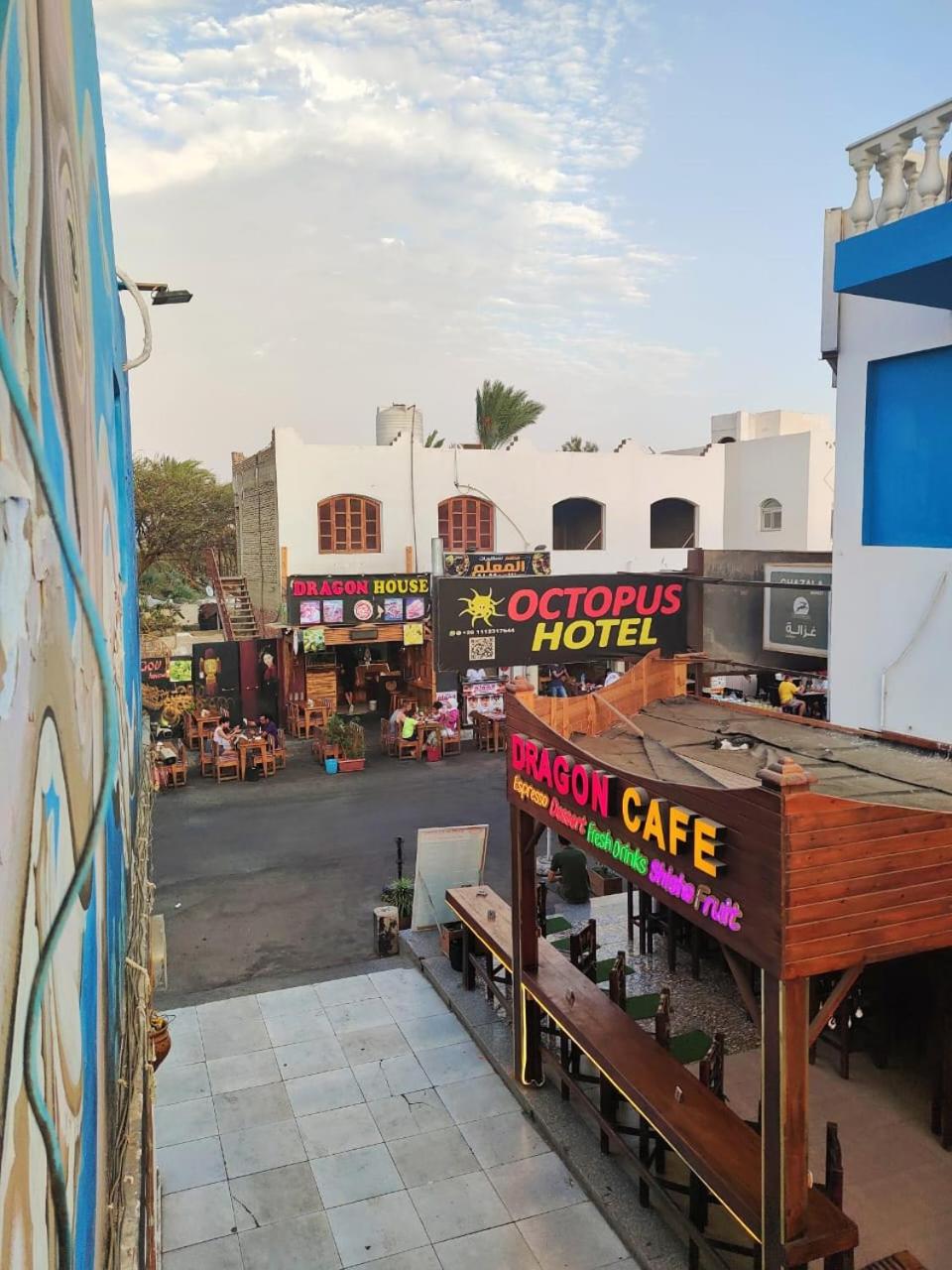 Dahab house octopus
