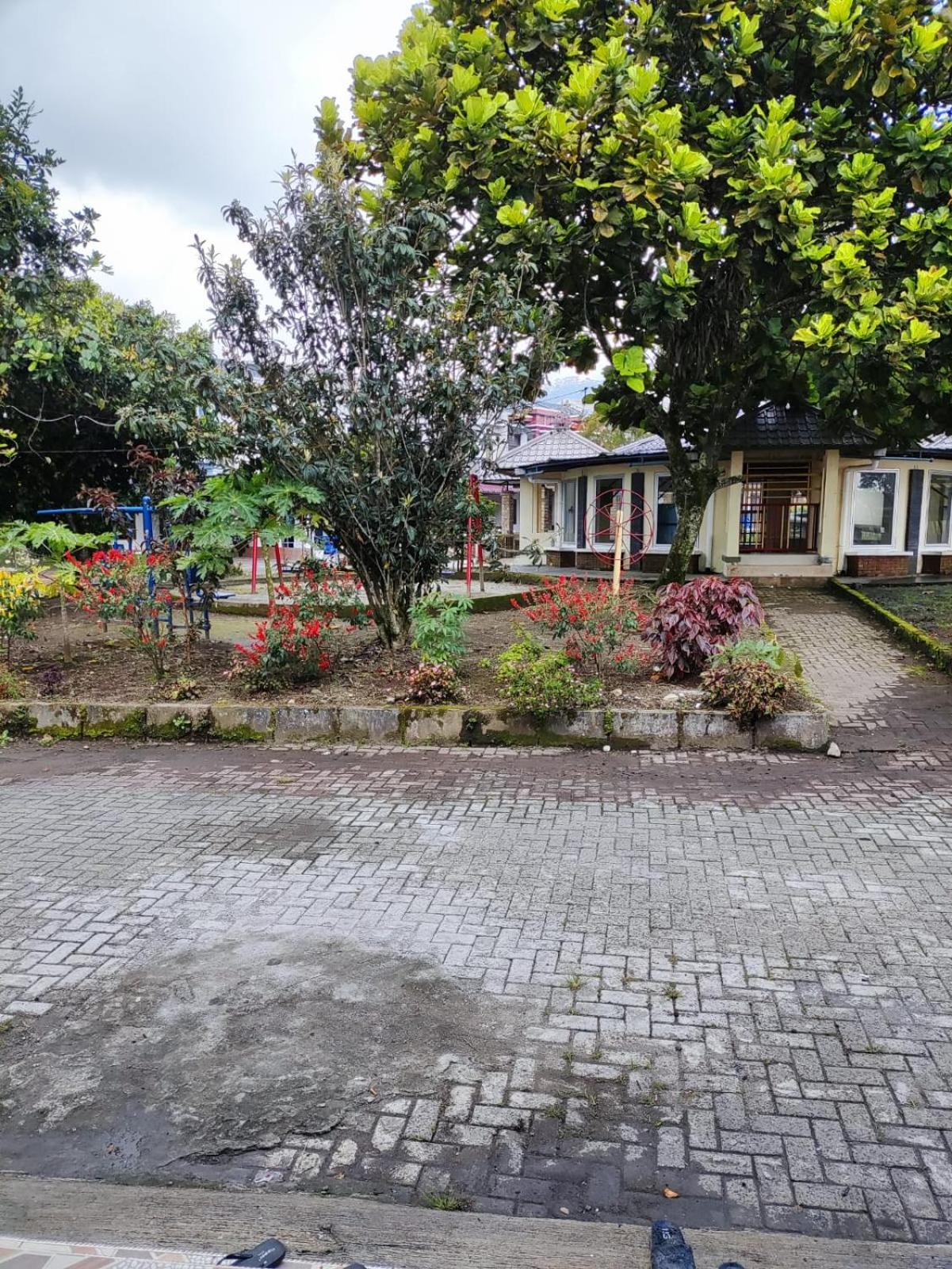 Photo 15