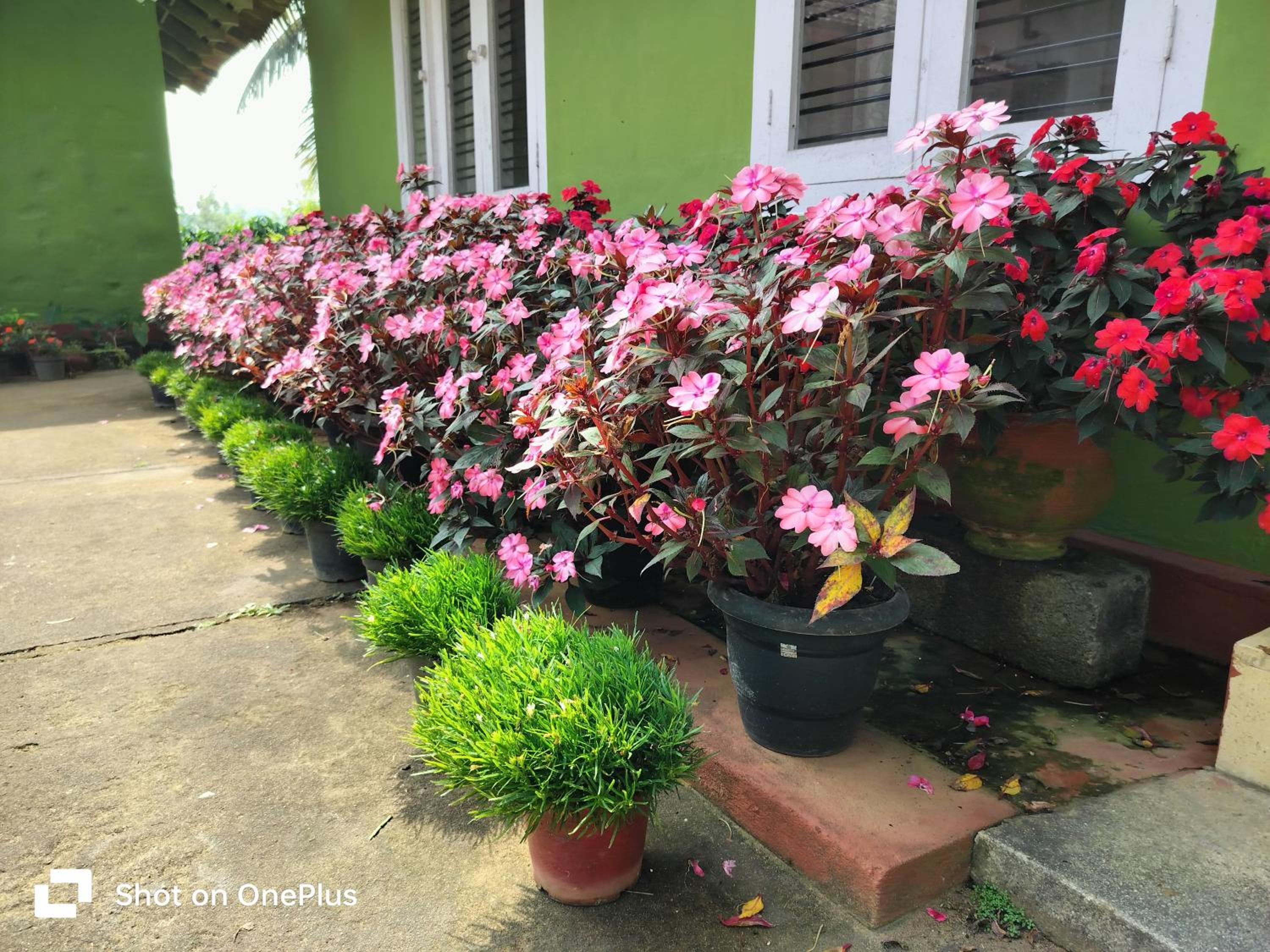 Praplia Homestay Ammathi,coorg