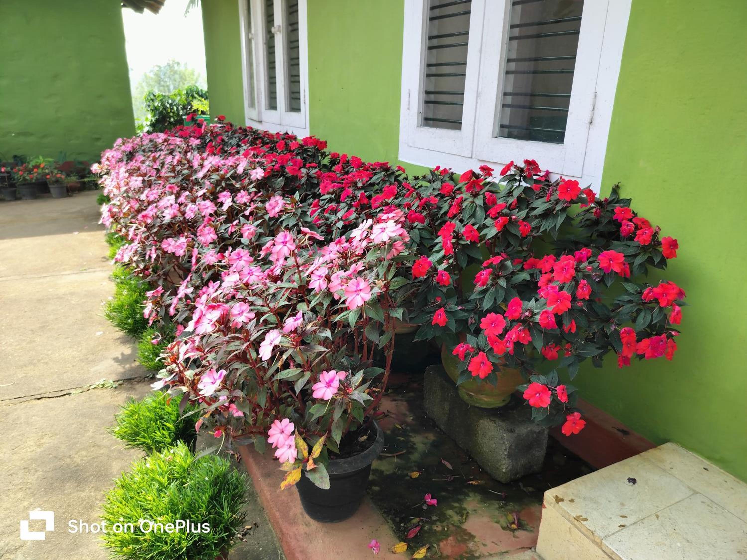 Praplia Homestay Ammathi,coorg