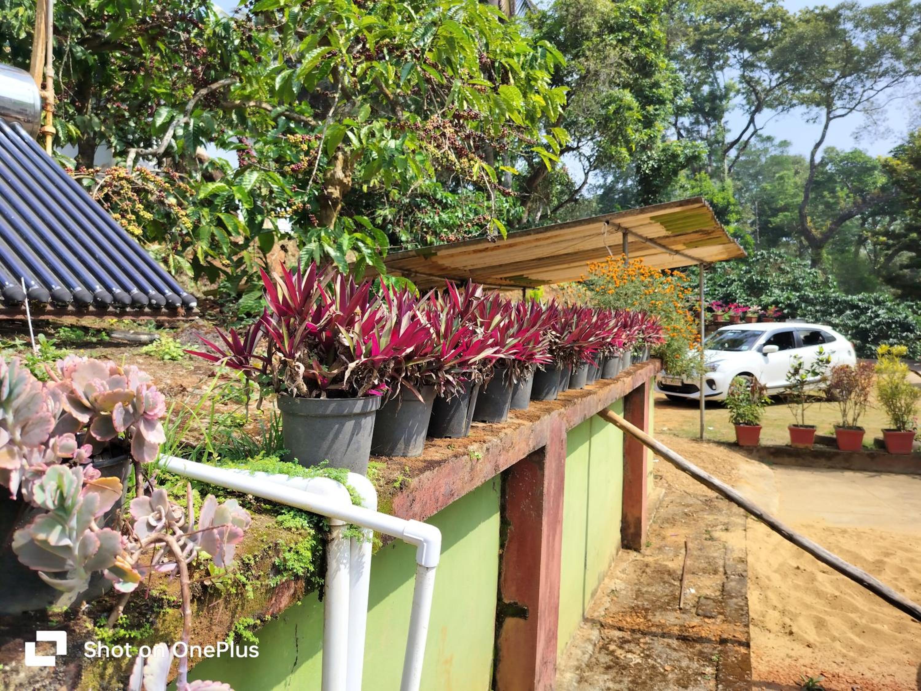 Praplia Homestay Ammathi,coorg