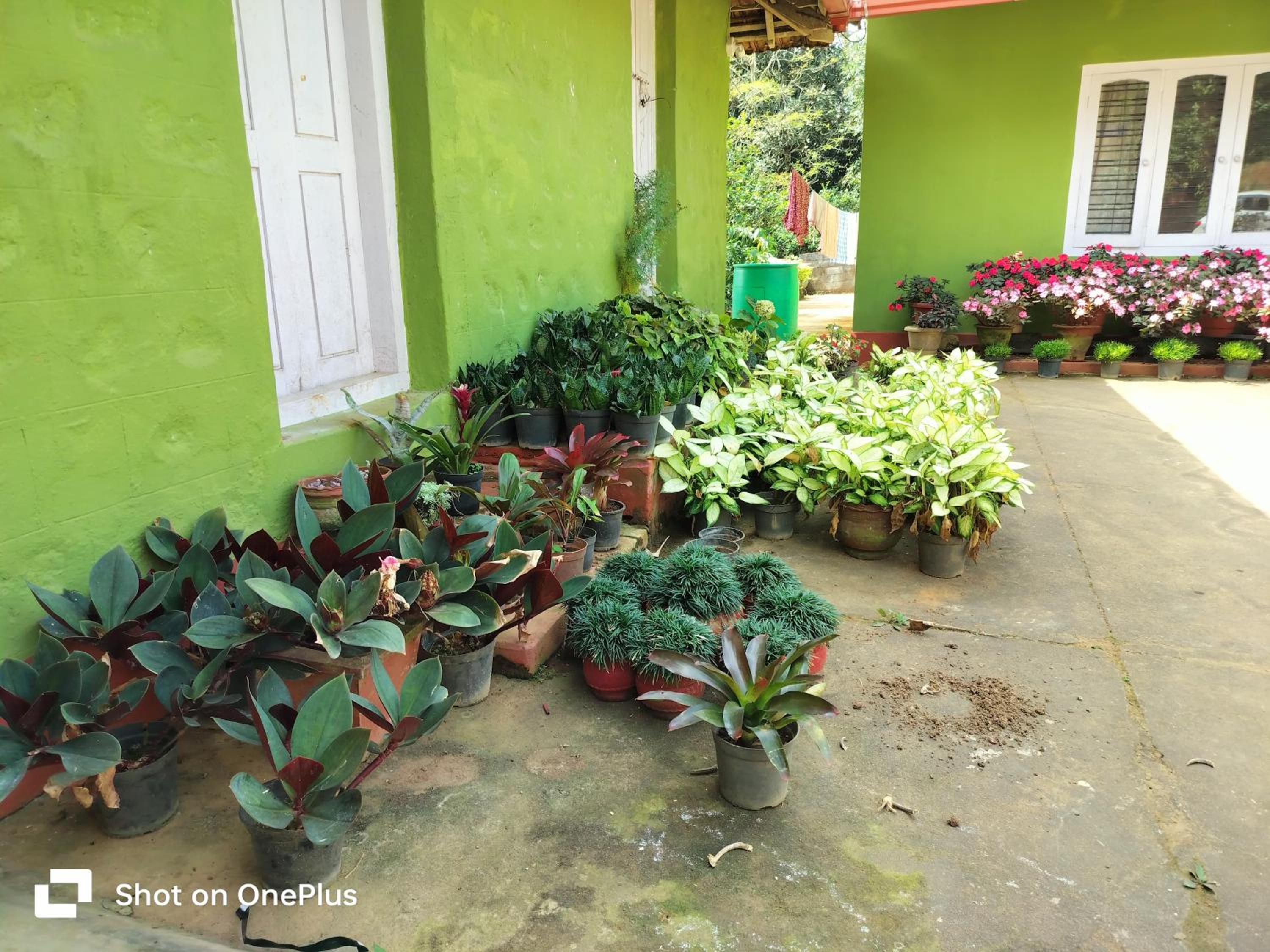 Praplia Homestay Ammathi,coorg