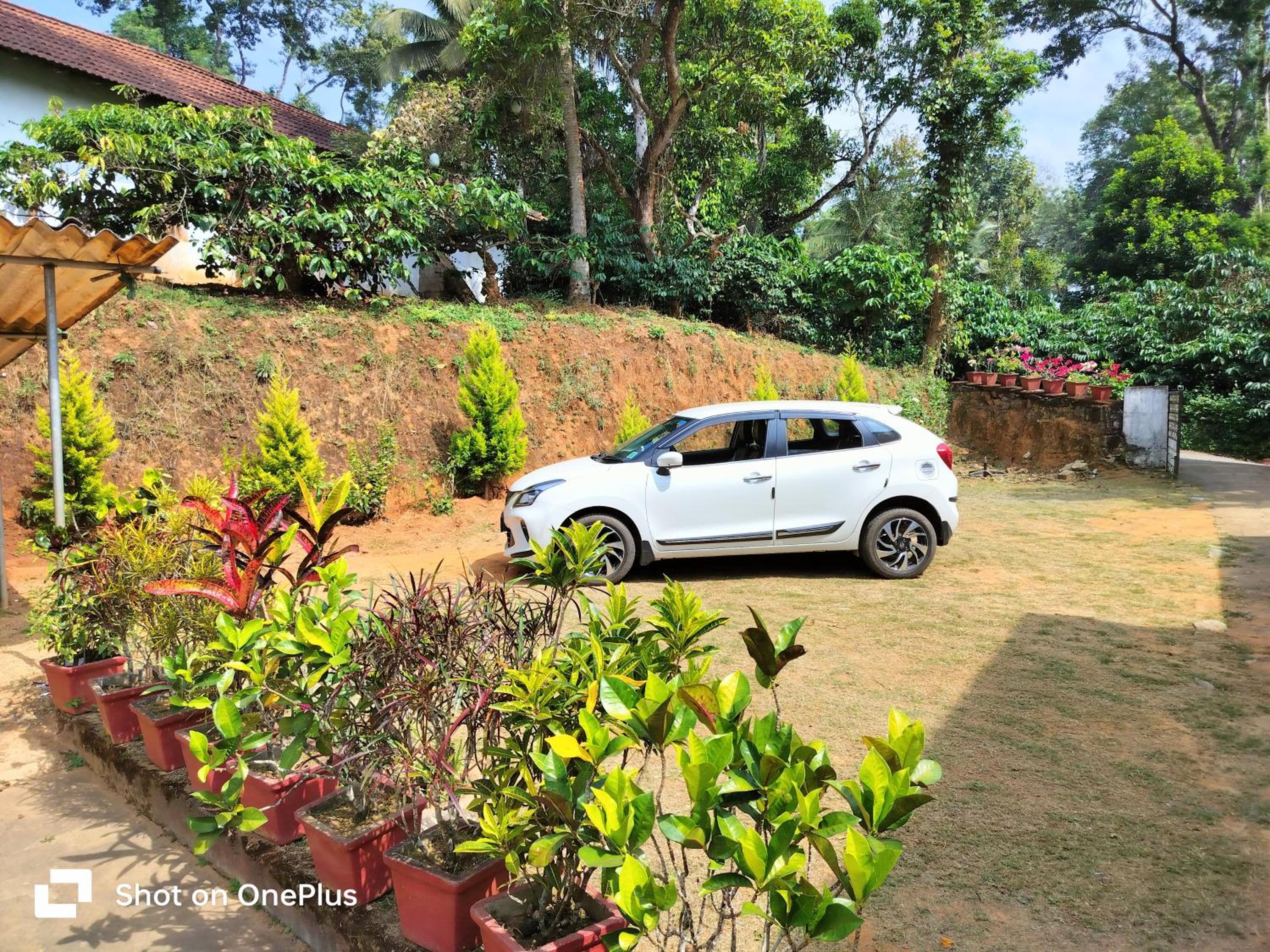 Praplia Homestay Ammathi,coorg