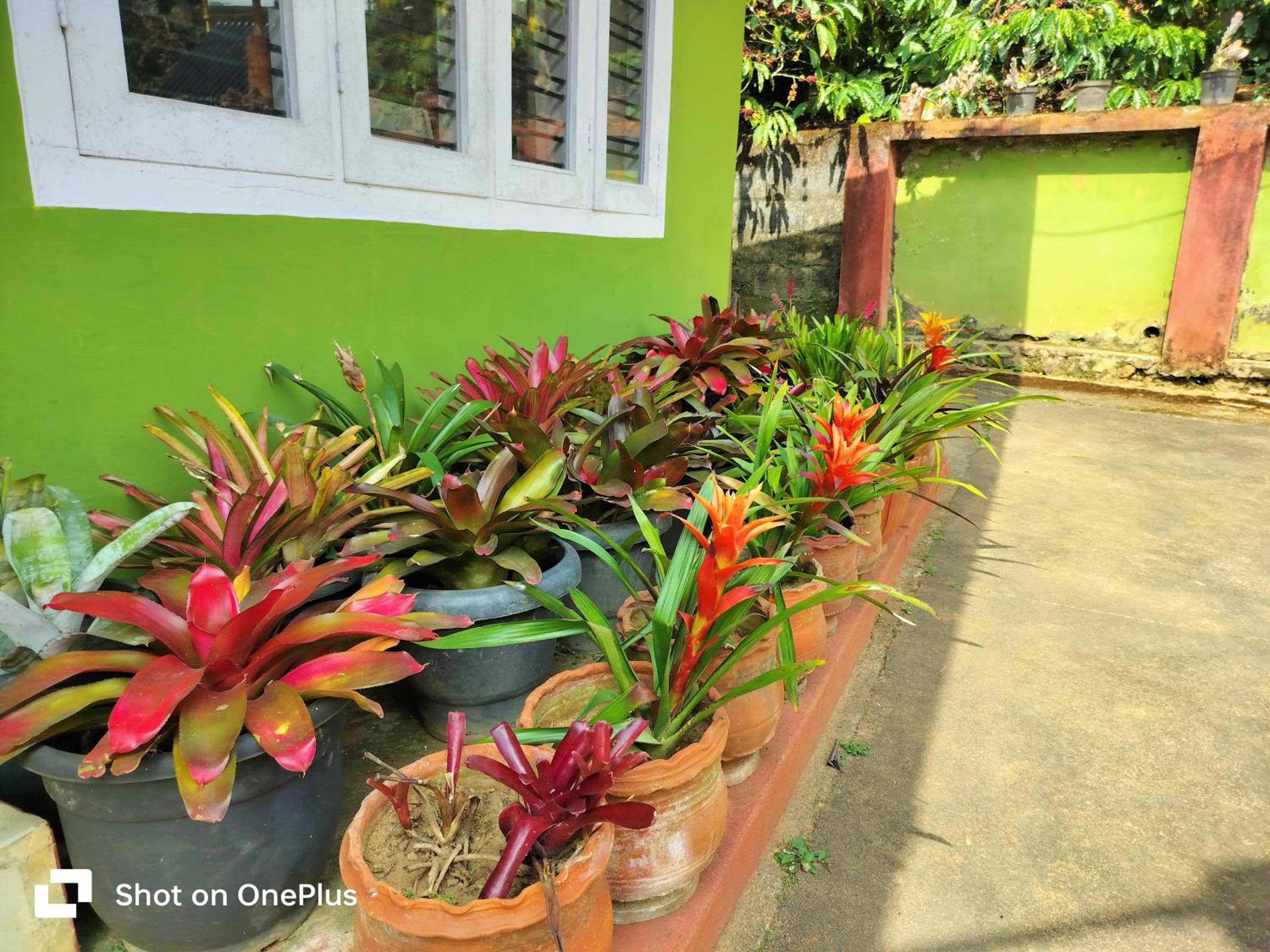 Praplia Homestay Ammathi,coorg