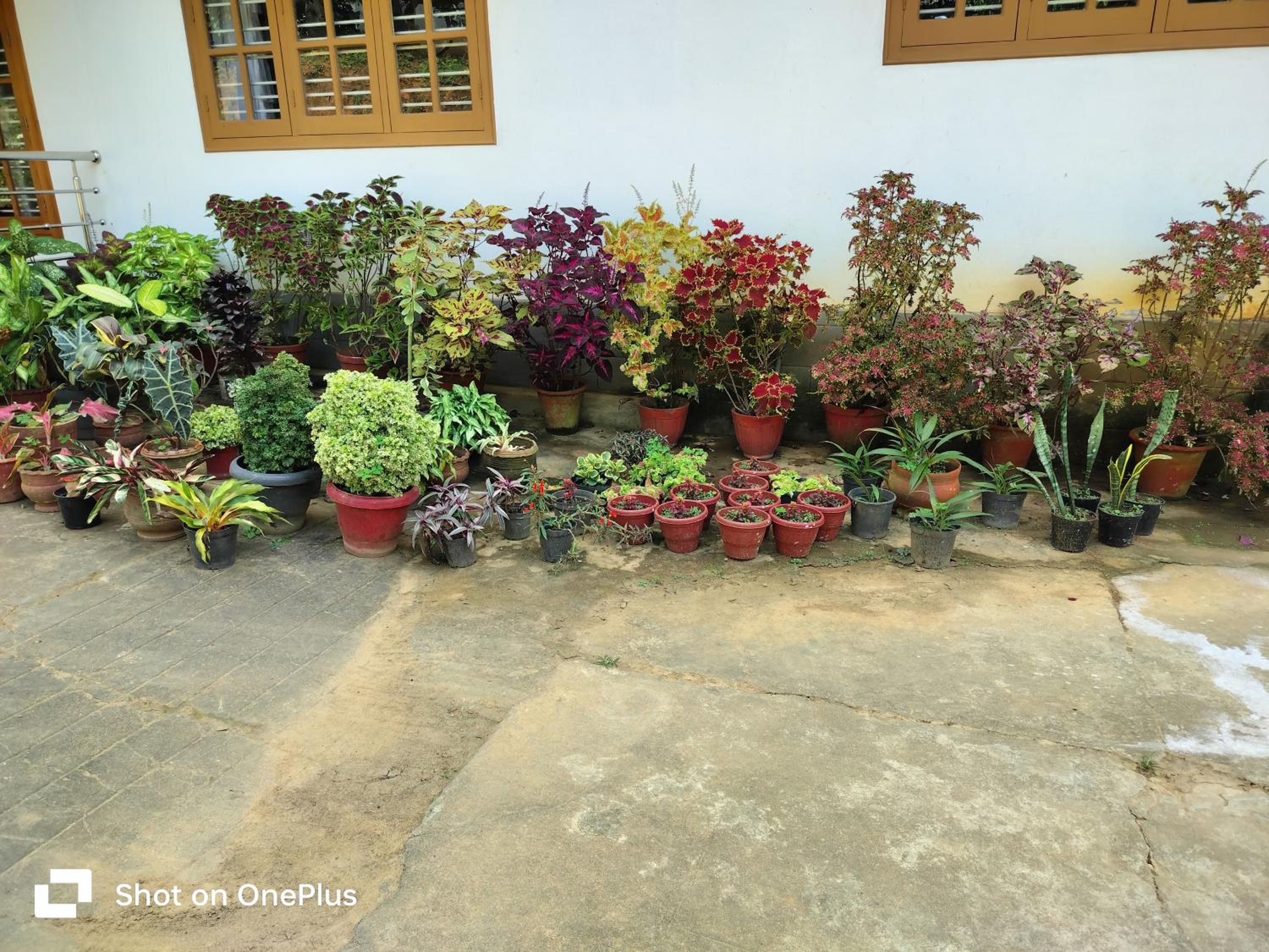 Praplia Homestay Ammathi,coorg