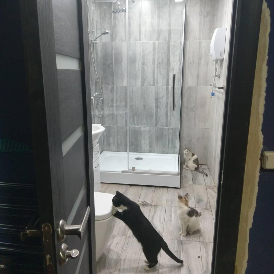Large, Pet-Friendly Home in Kalavan