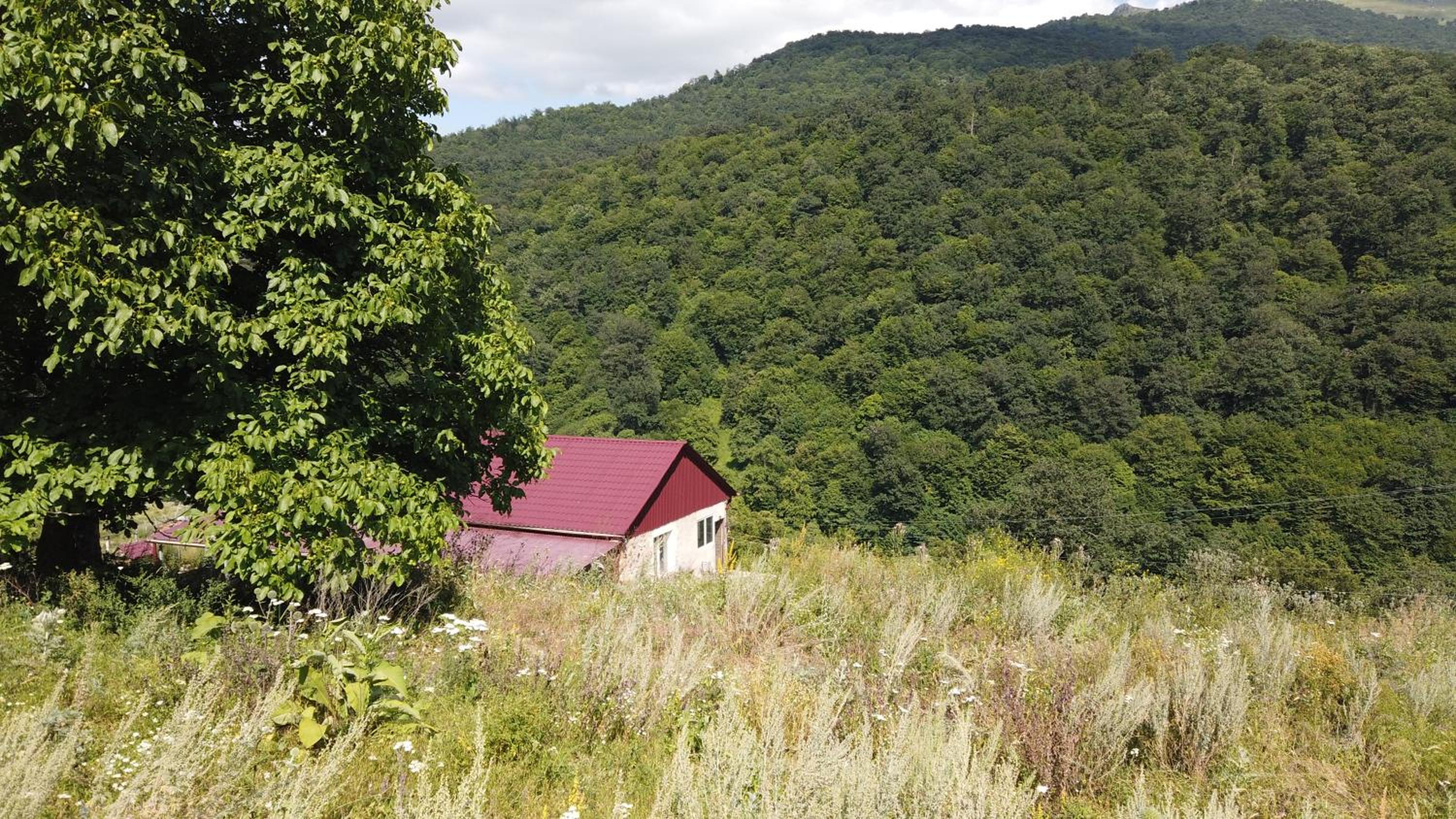 Large, Pet-Friendly Home in Kalavan