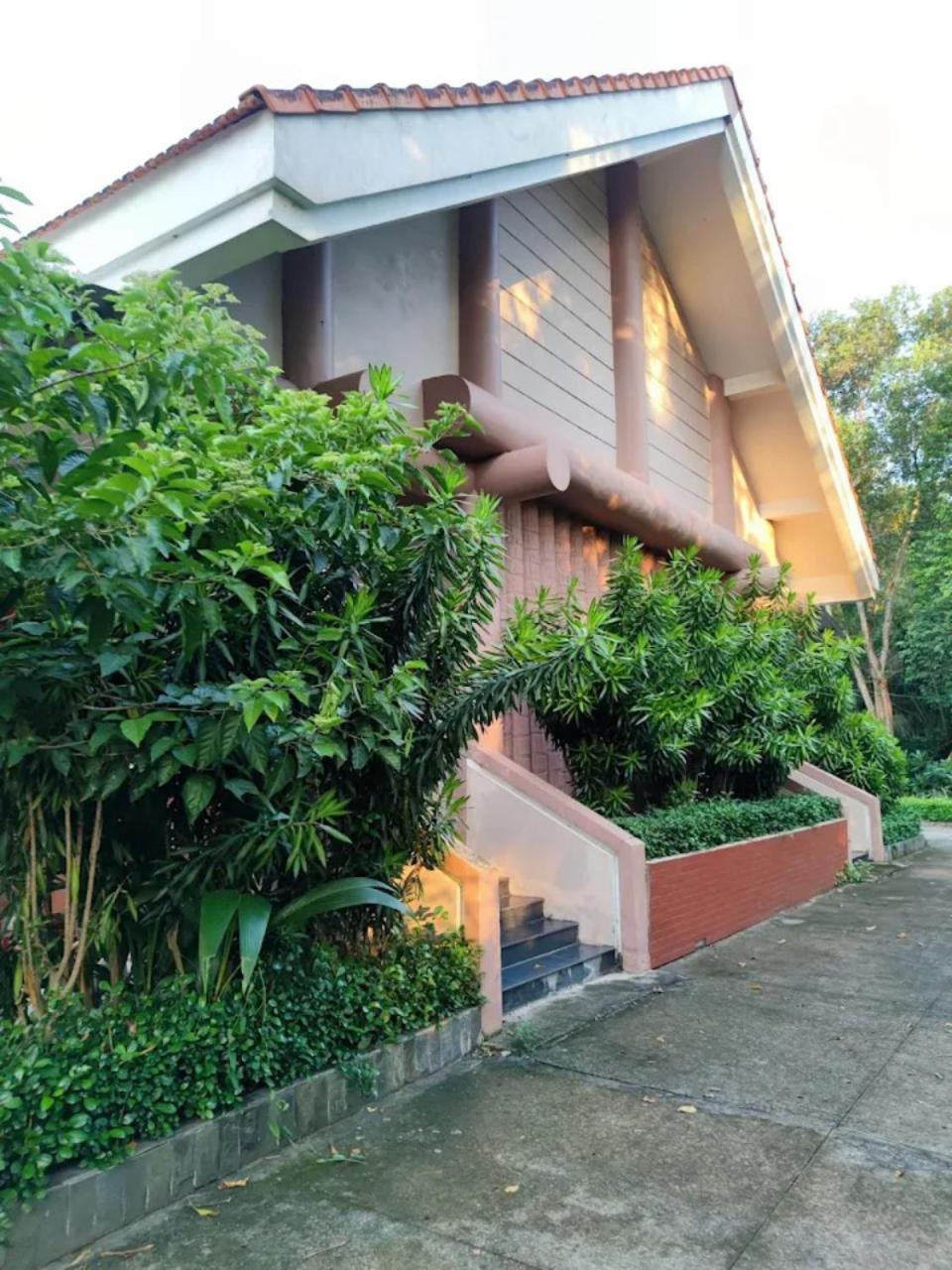 Photo 46