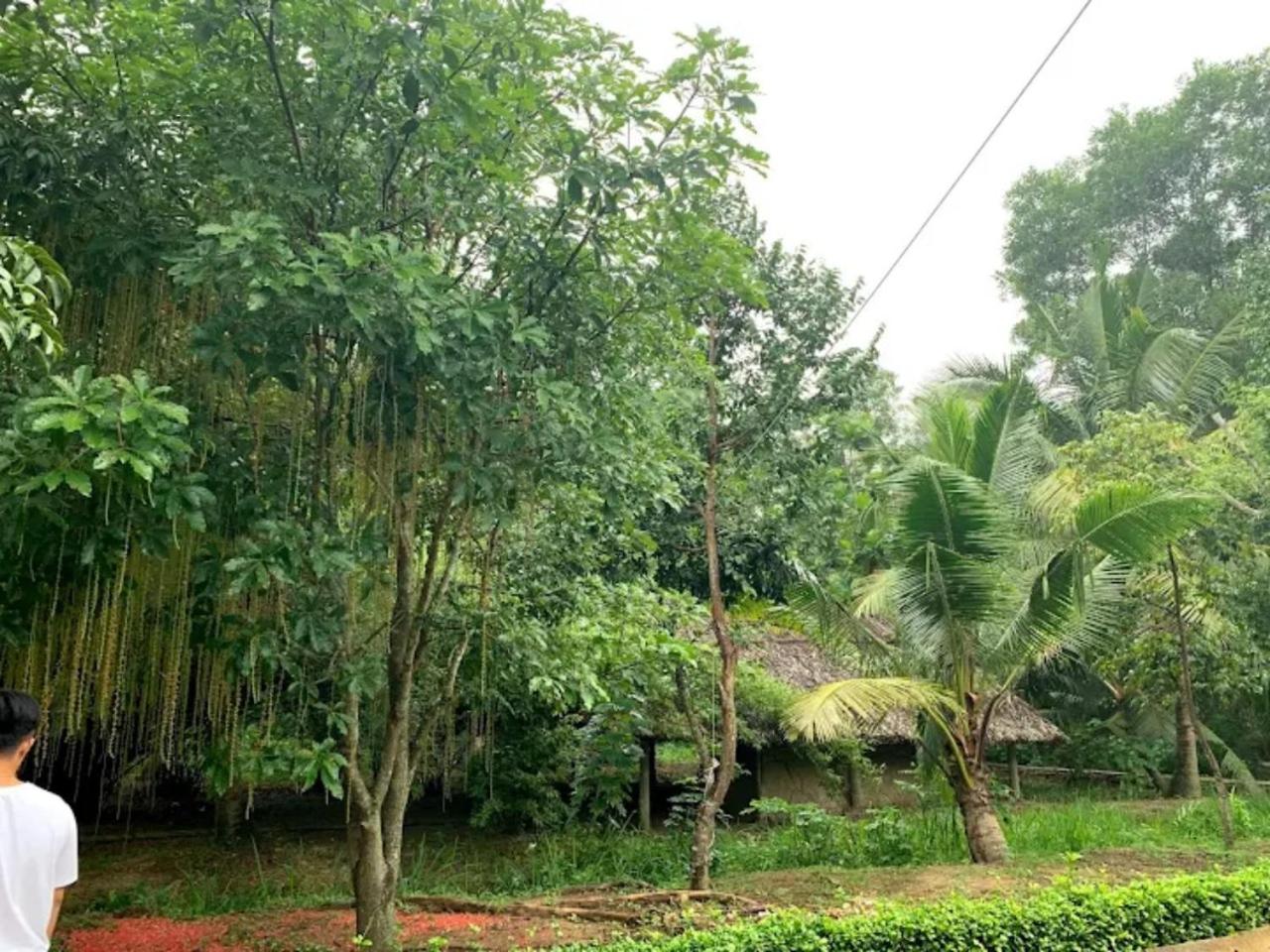 Photo 47