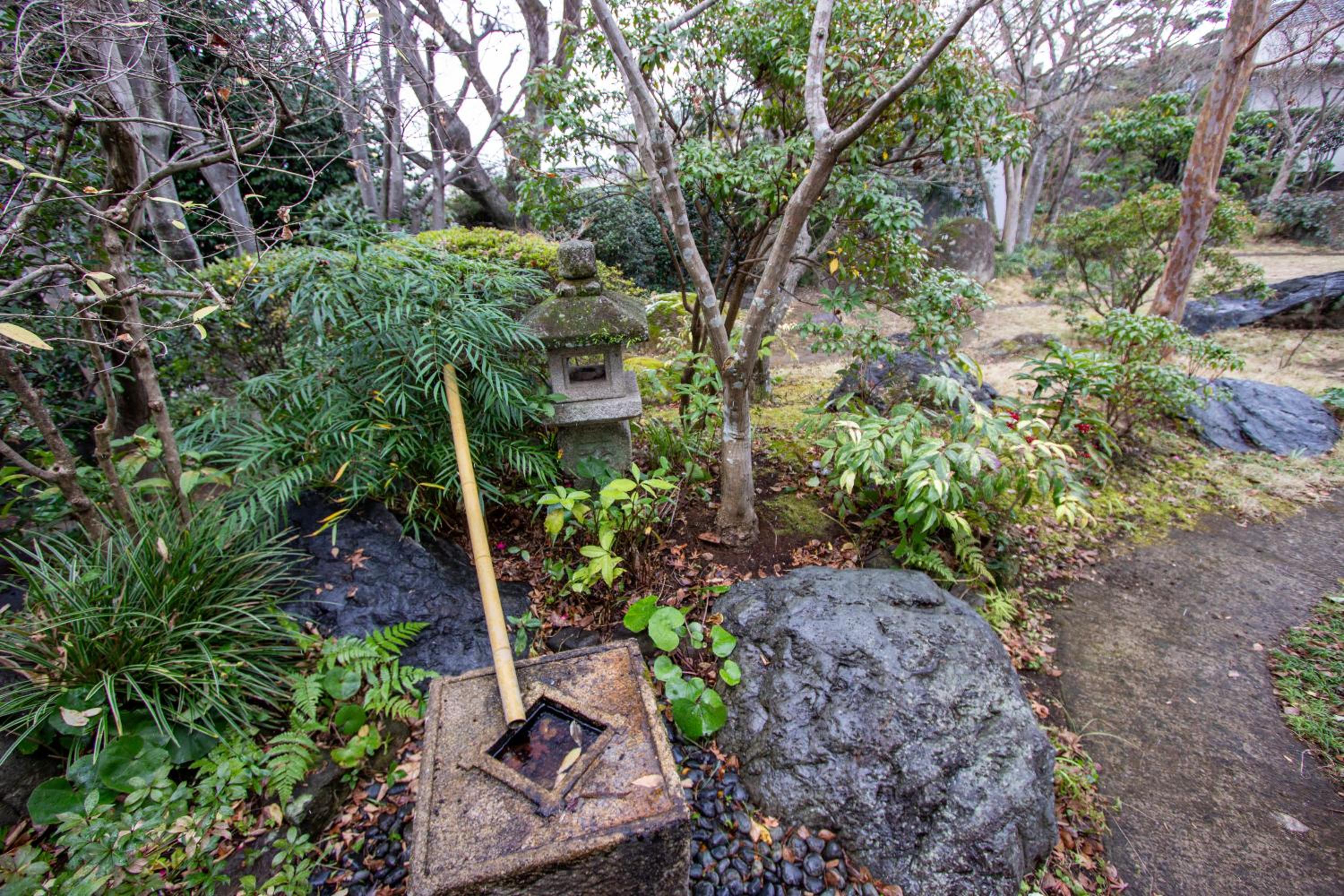 Photo 44