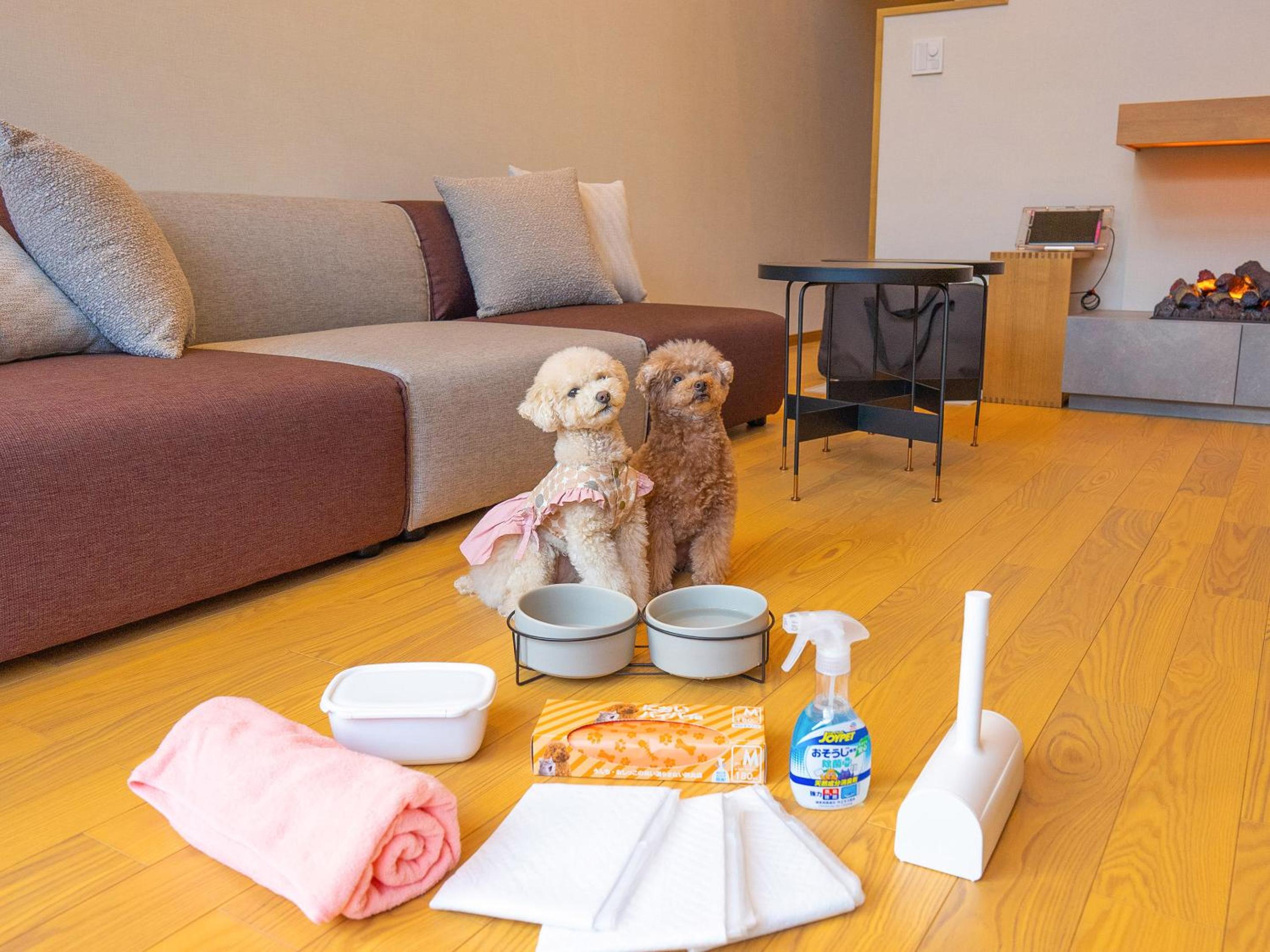 Rakuten STAY VILLA Yatsugatake
