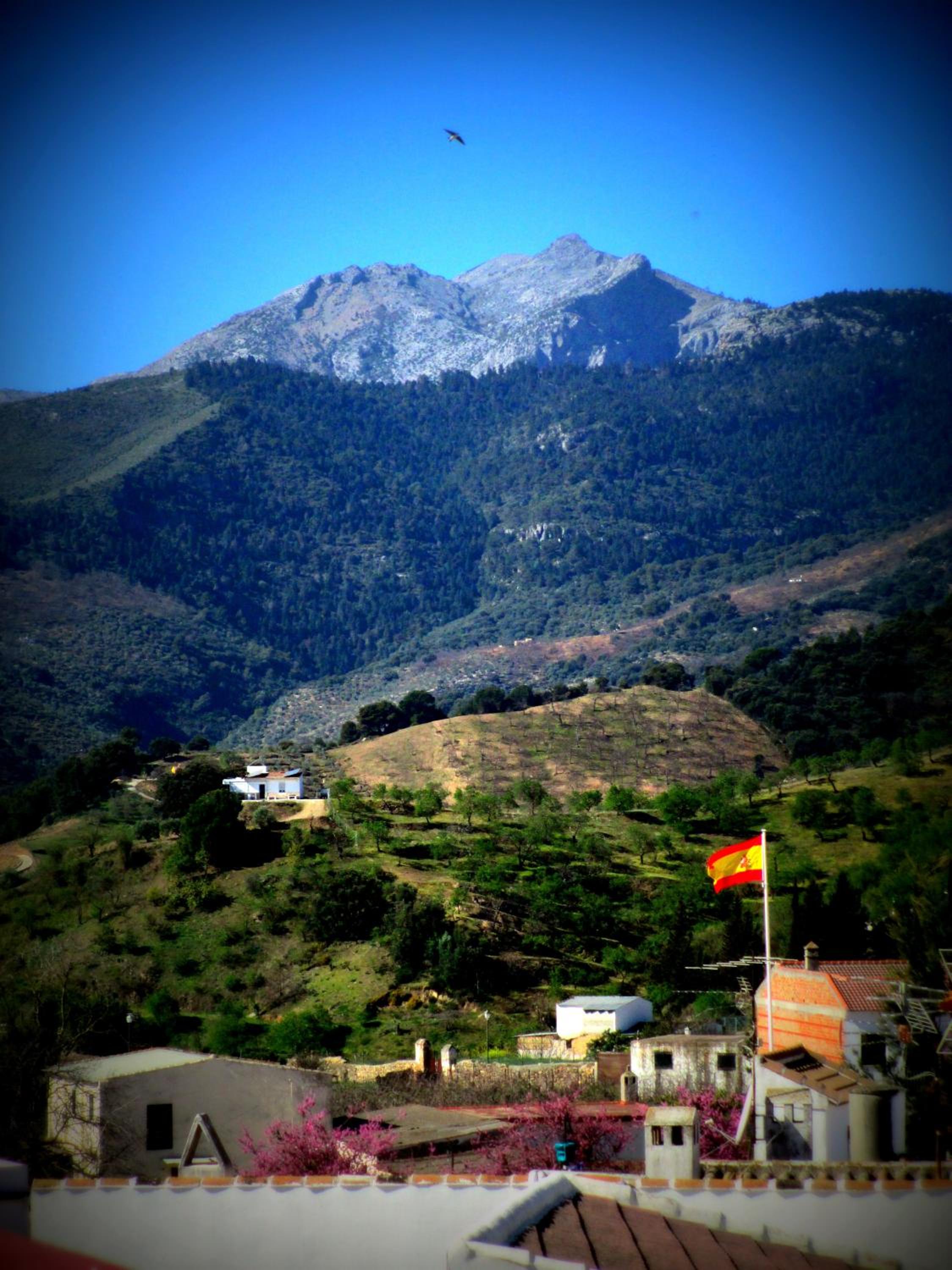 Photo 26