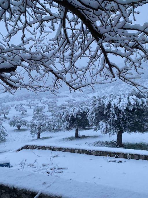 Cheerful 3 bedroom cottage with indoor fireplace - Property Image 5