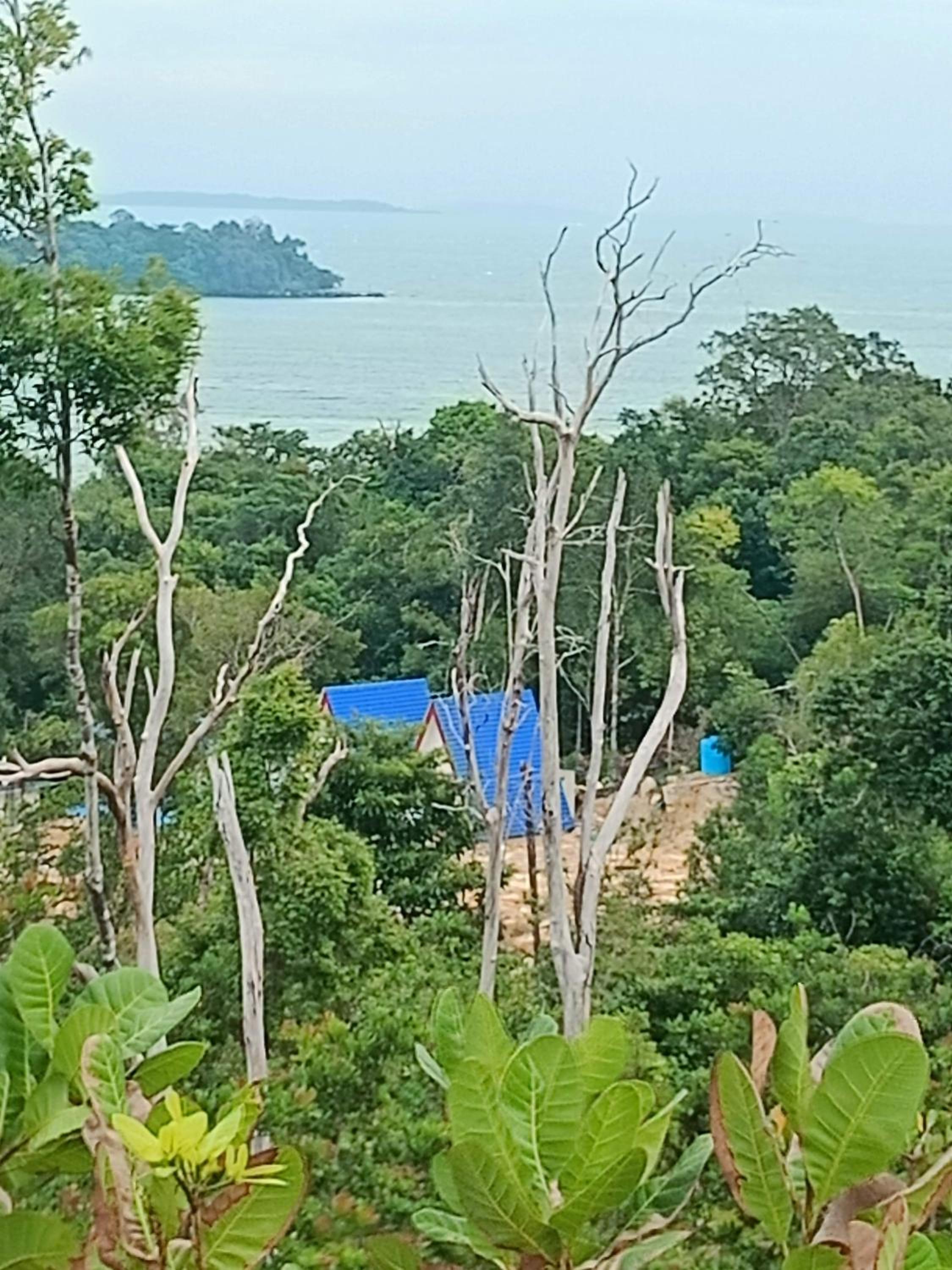 Blue Zone Hostel view 5