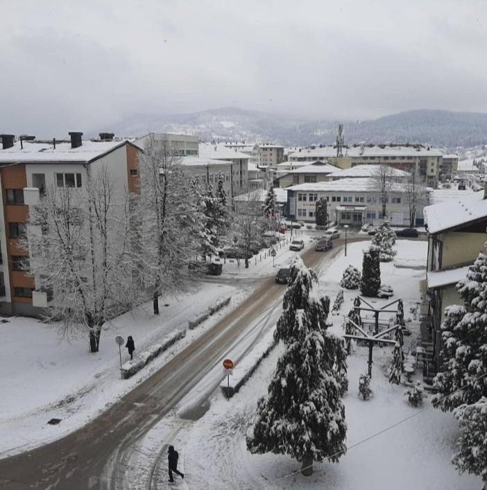Stan na dan Pale Apartman Danica