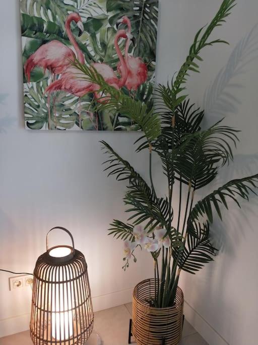 Tranquil sea breeze apartment