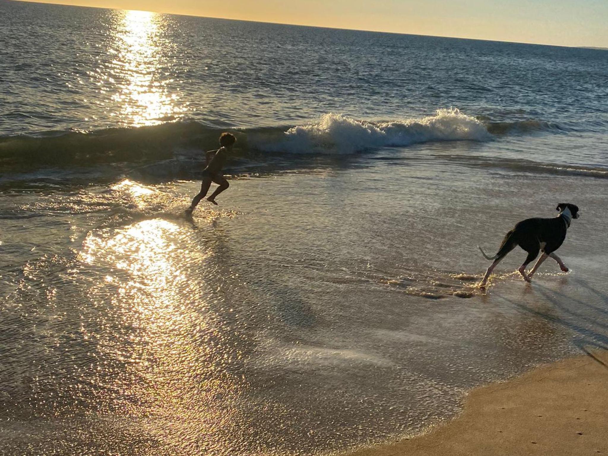 Photo 22