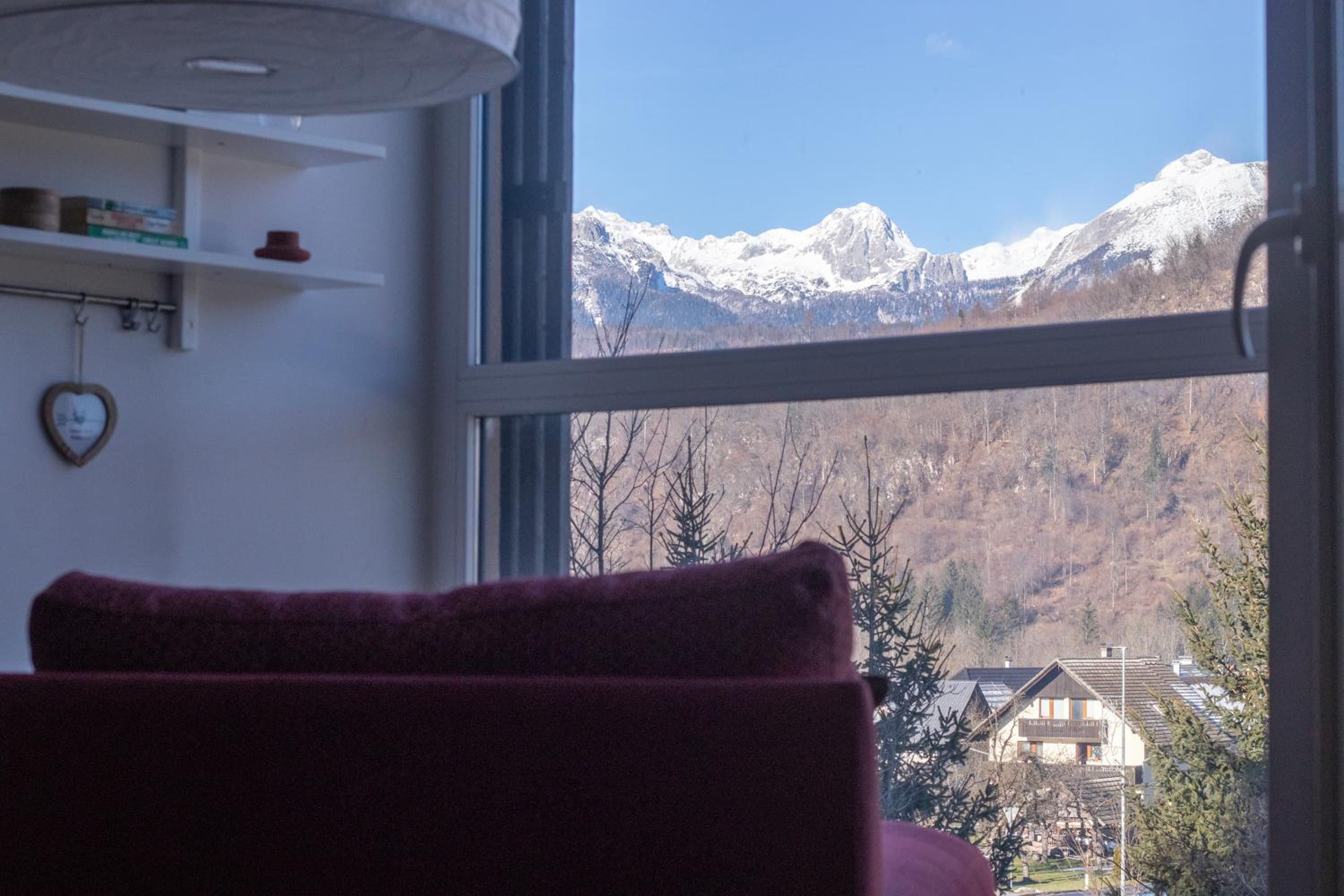 Bright loft near Bohinj lake view 4