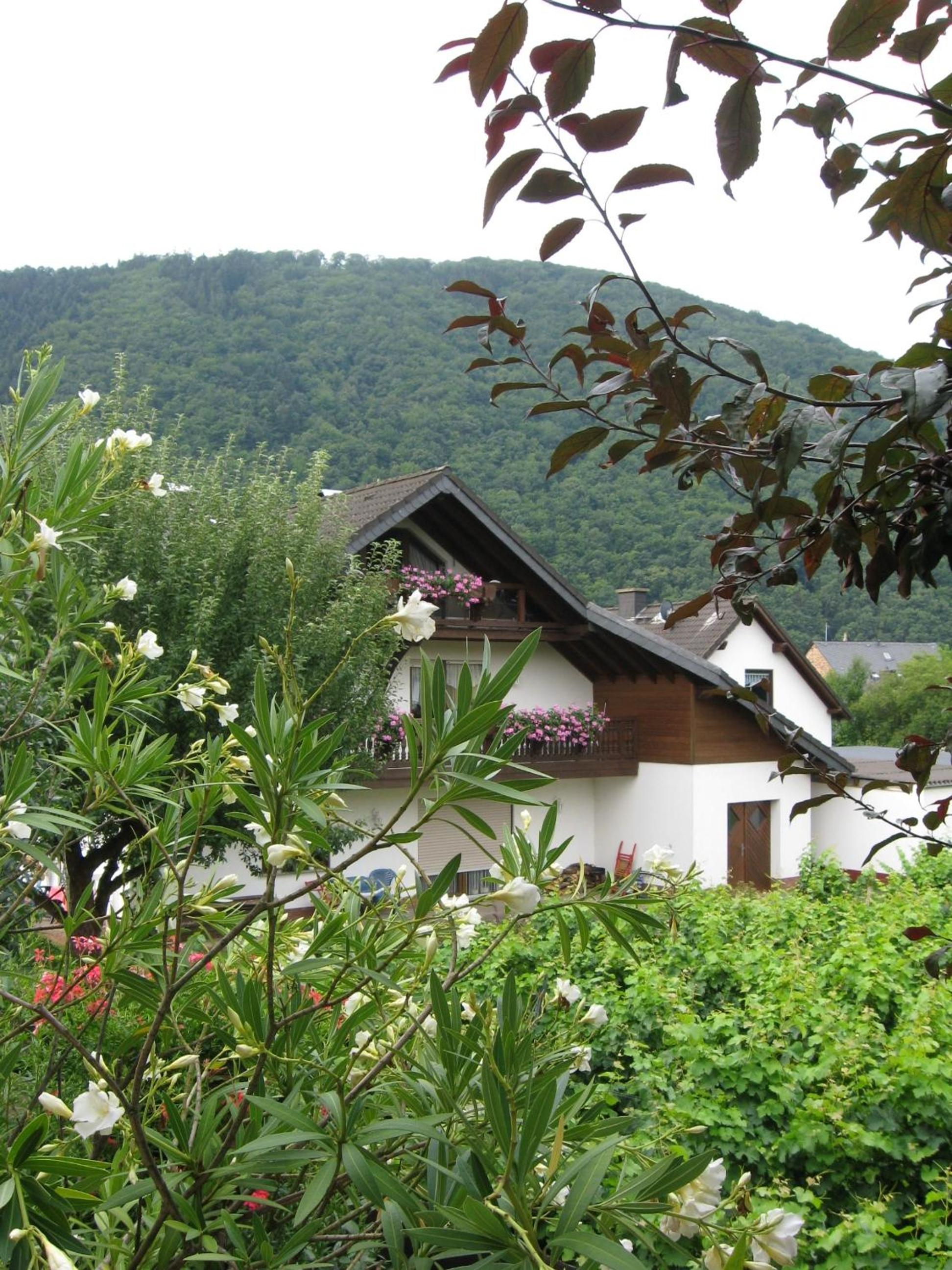 Ferienhaus 