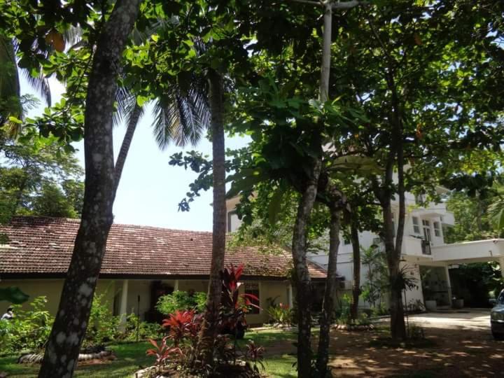 Nooit Gedacht Holiday Resort Unawatuna