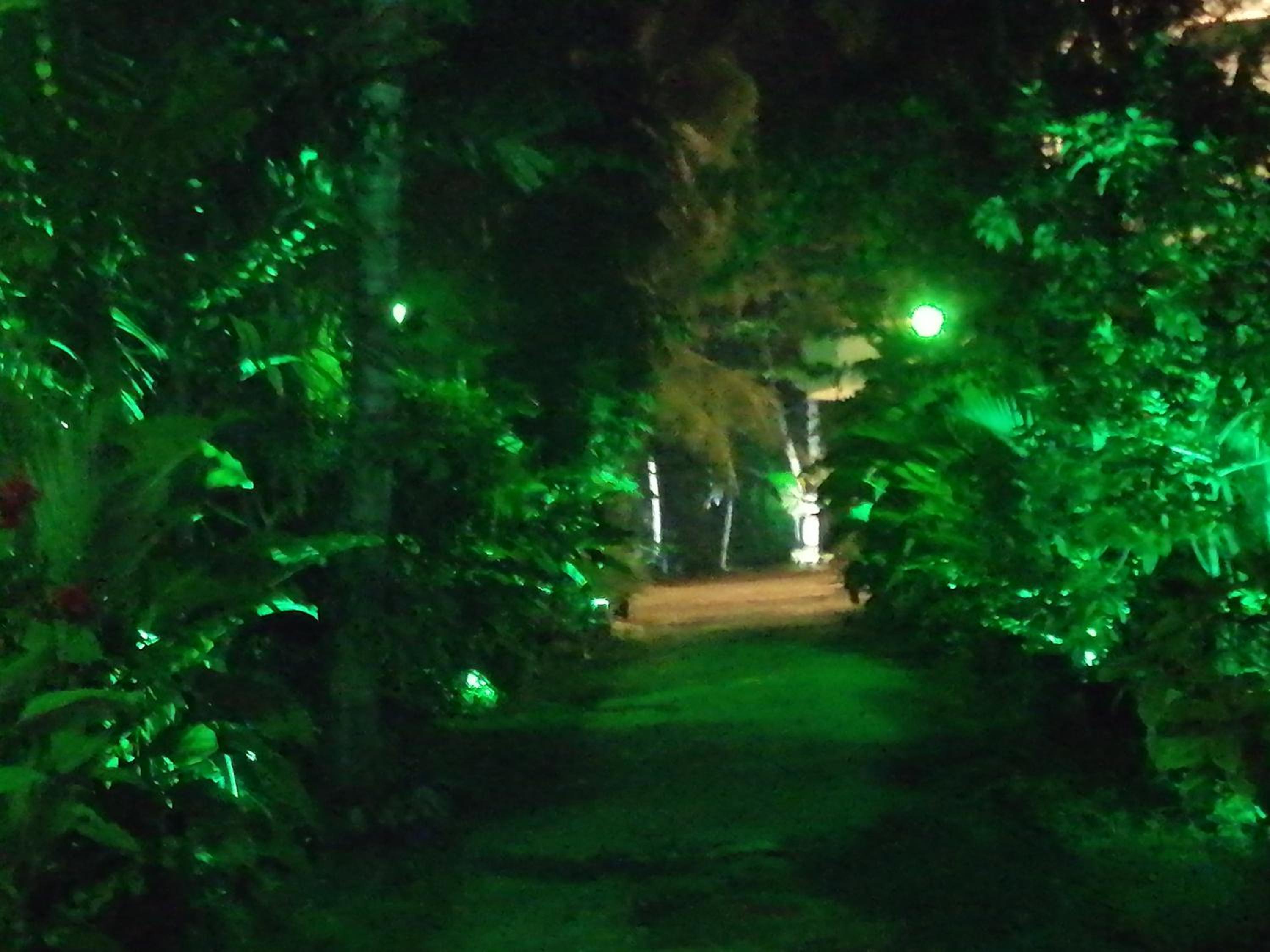 Nooit Gedacht Holiday Resort Unawatuna