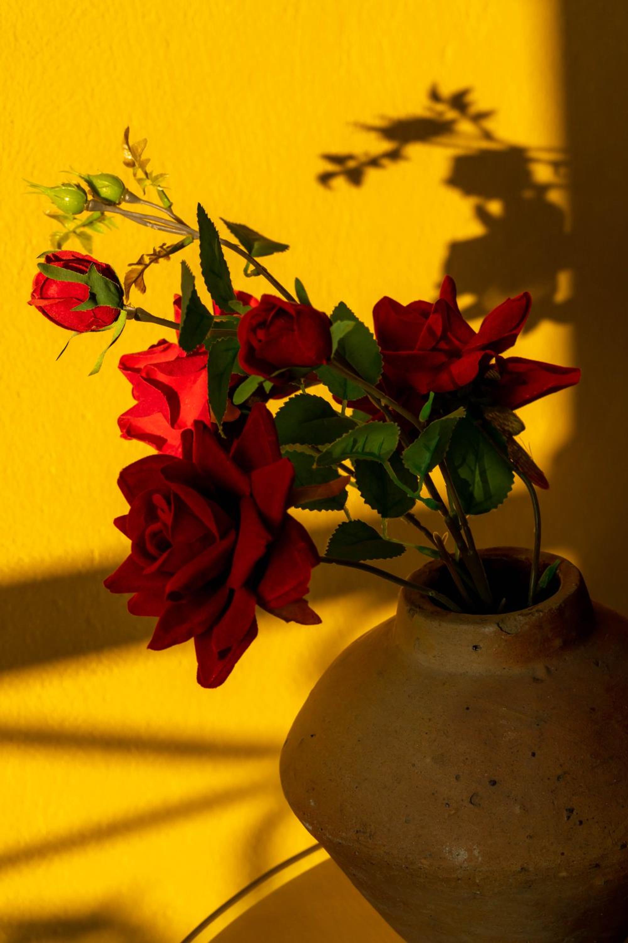 Photo 45