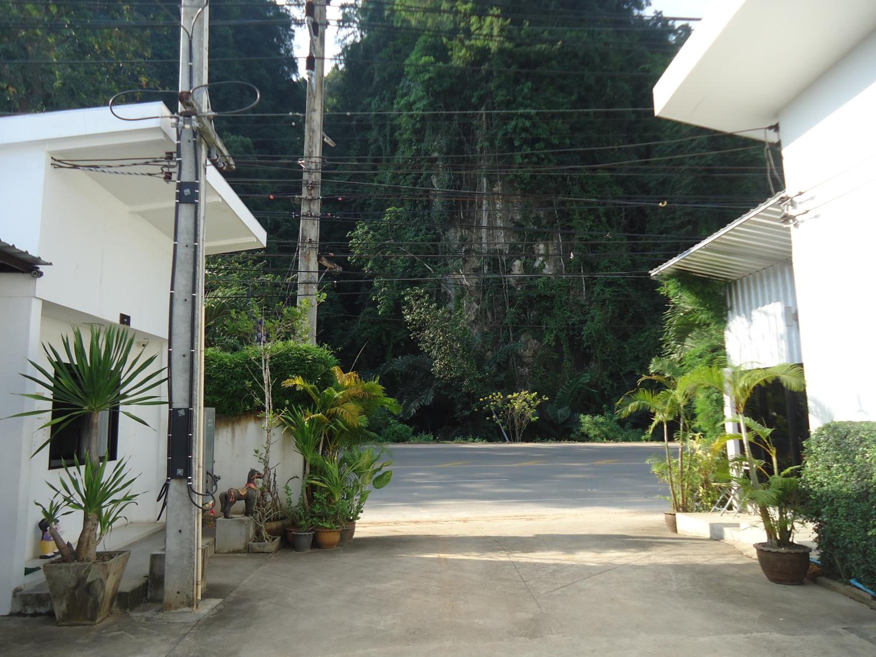 Pine Home