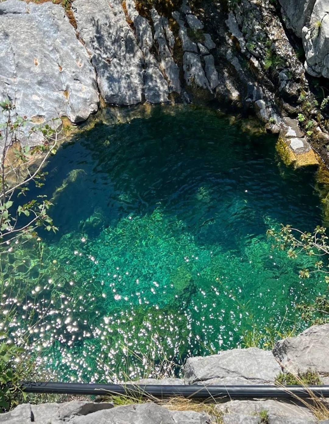 Vilat Pllumaj