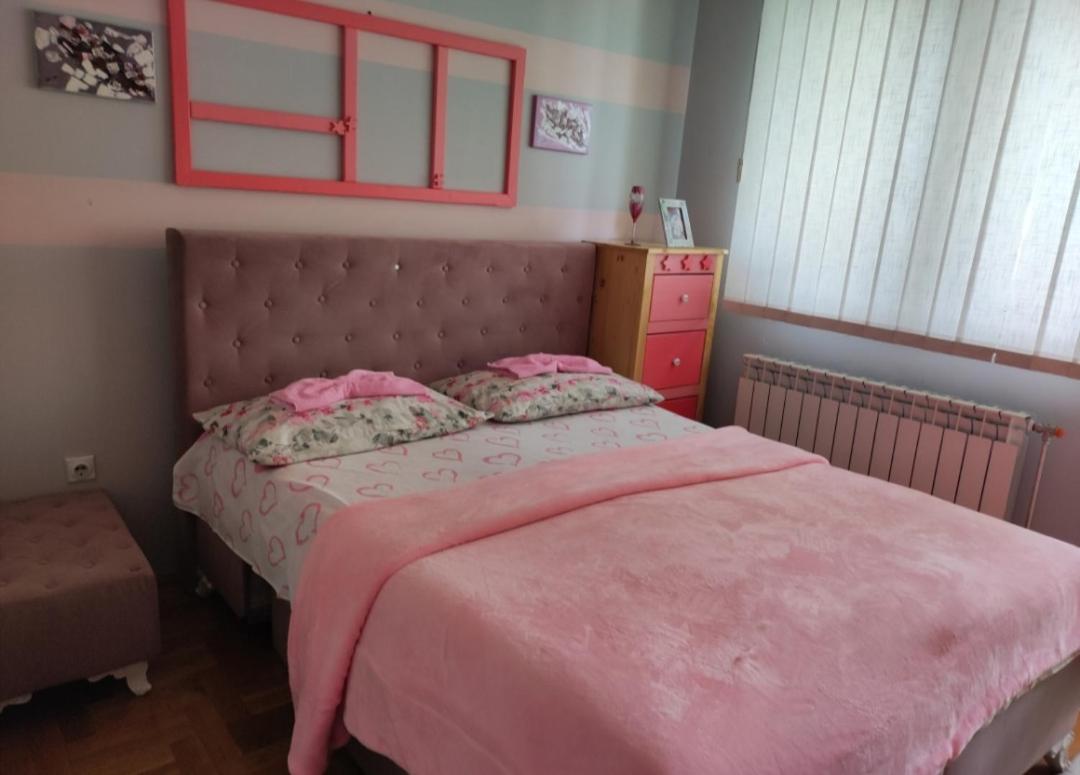 Stan na dan Pale Apartman Danica