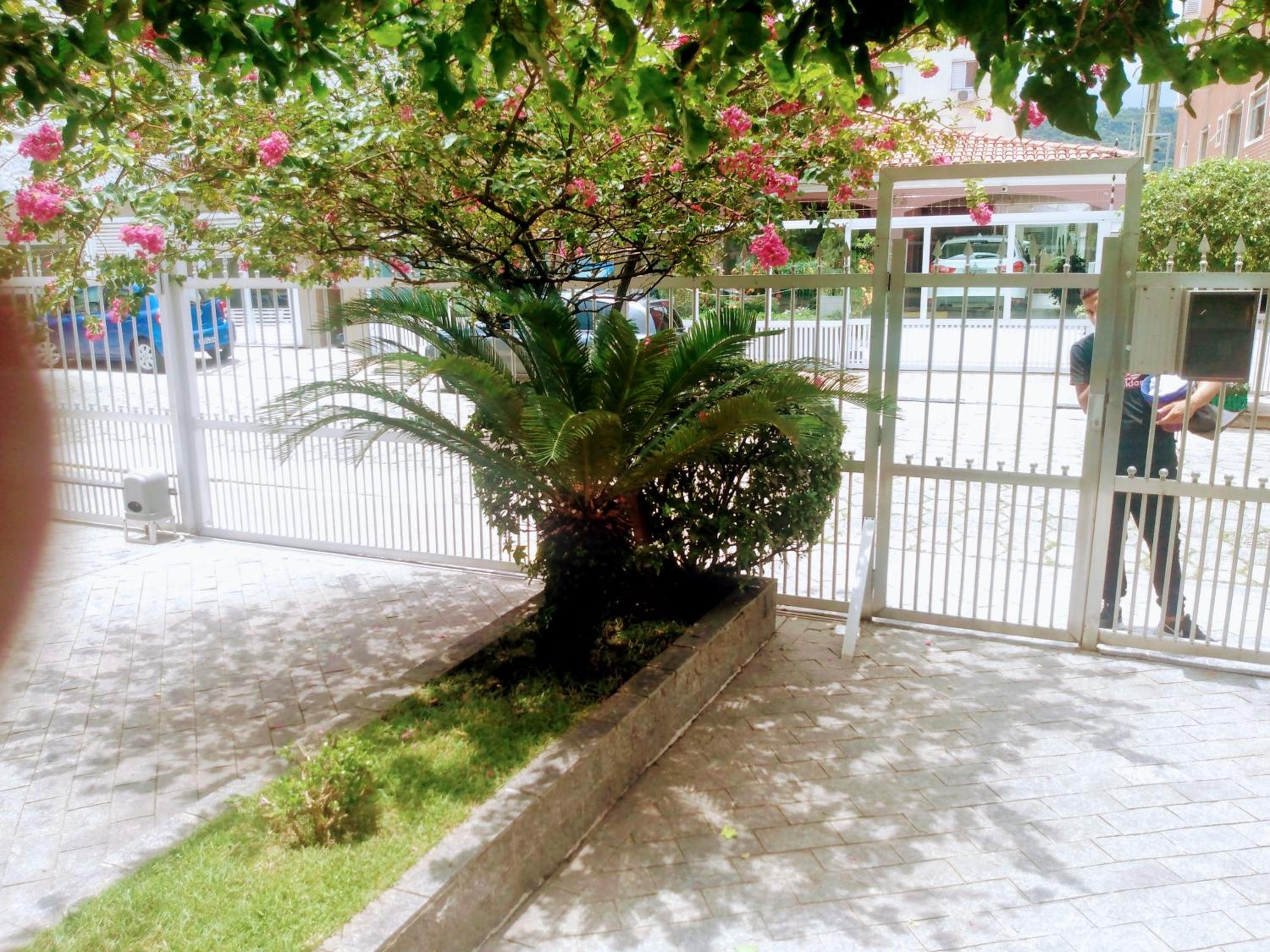 Gratidão