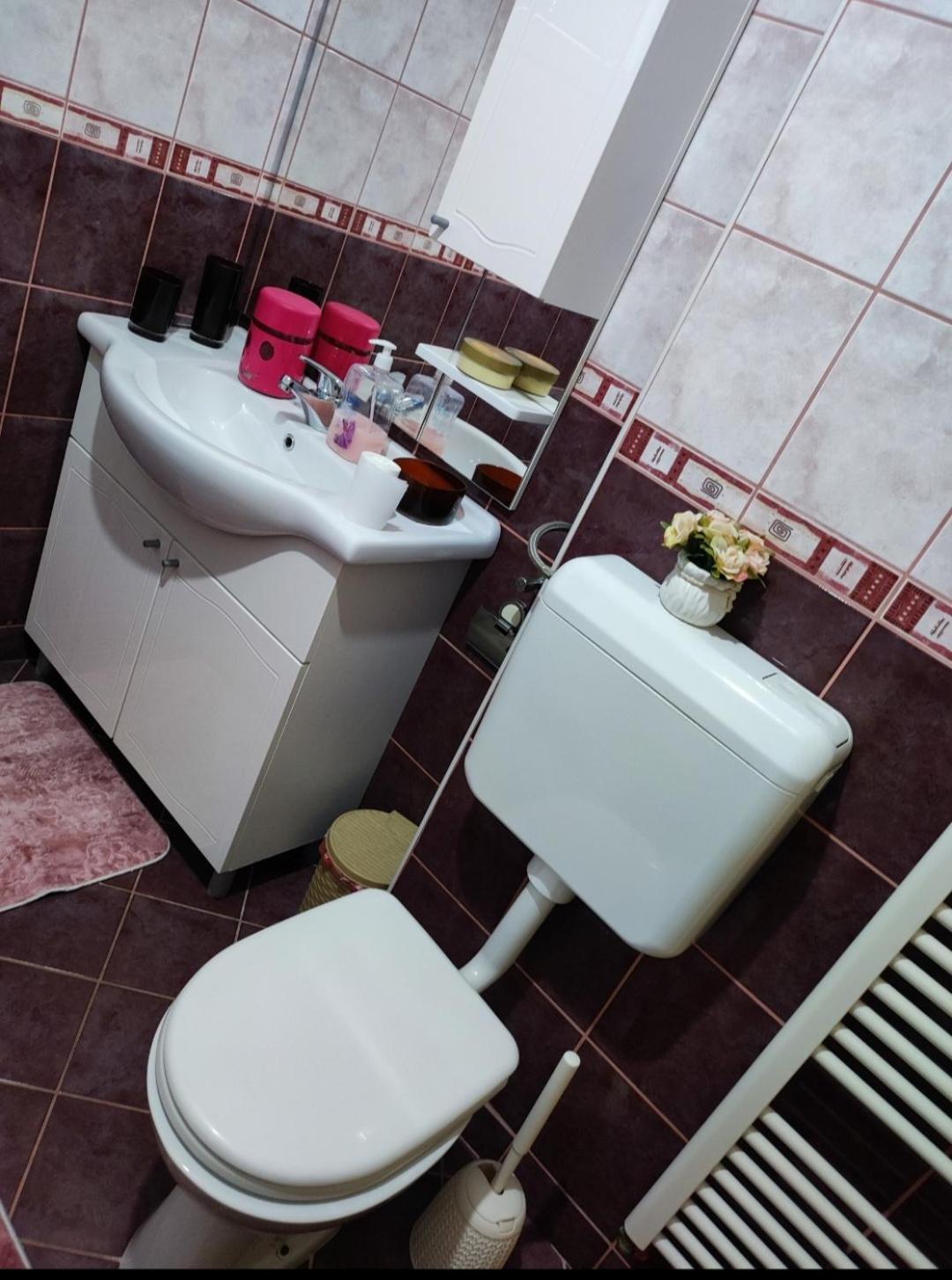 Stan na dan Pale Apartman Danica